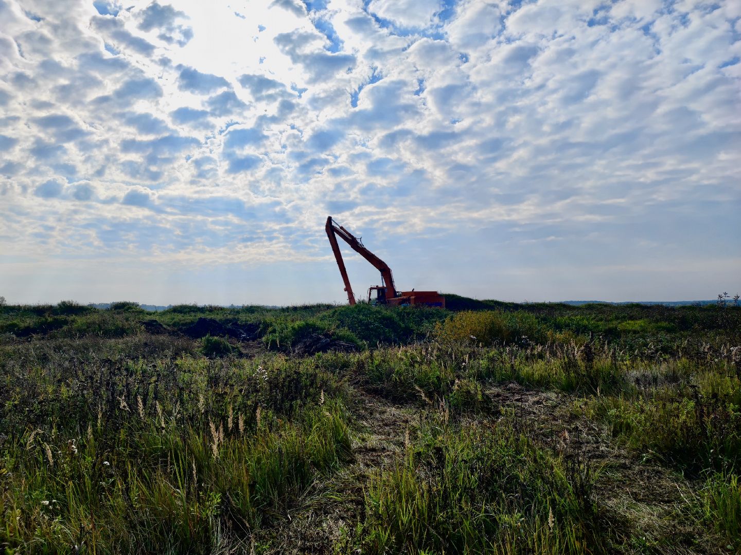 Клин, экономика, общество, сельское хозяйство,