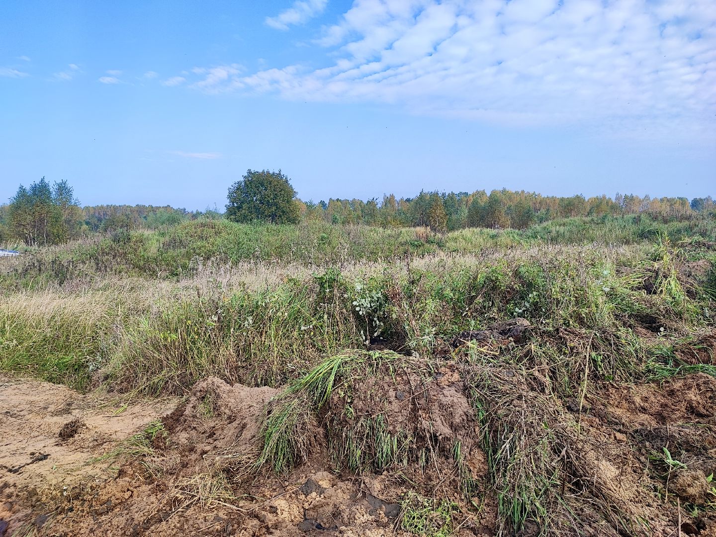 Клин, экономика, общество, сельское хозяйство,