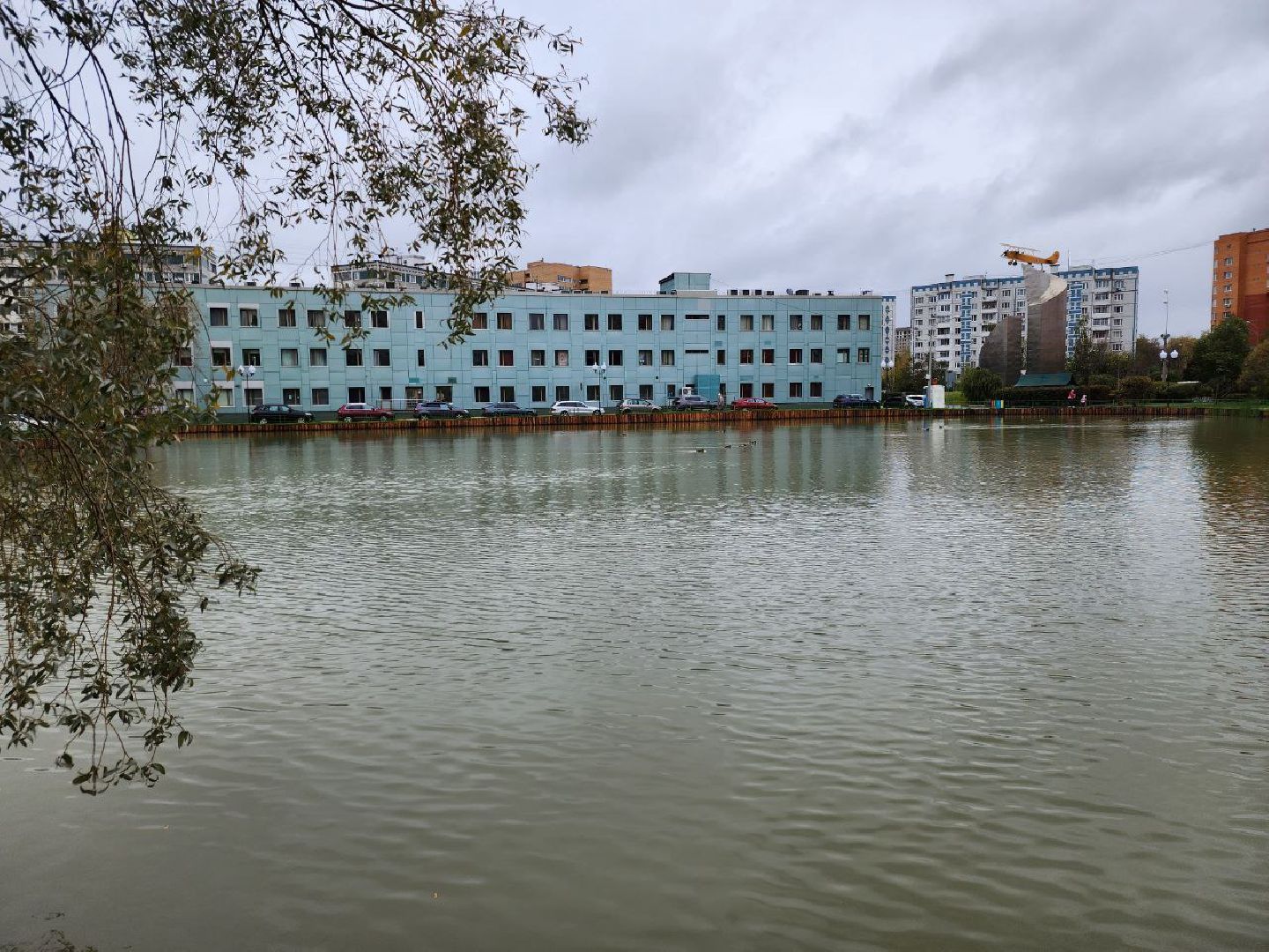 мытищи, Алексеевский пруд, сукромка, рыба, экология, рыбалка,