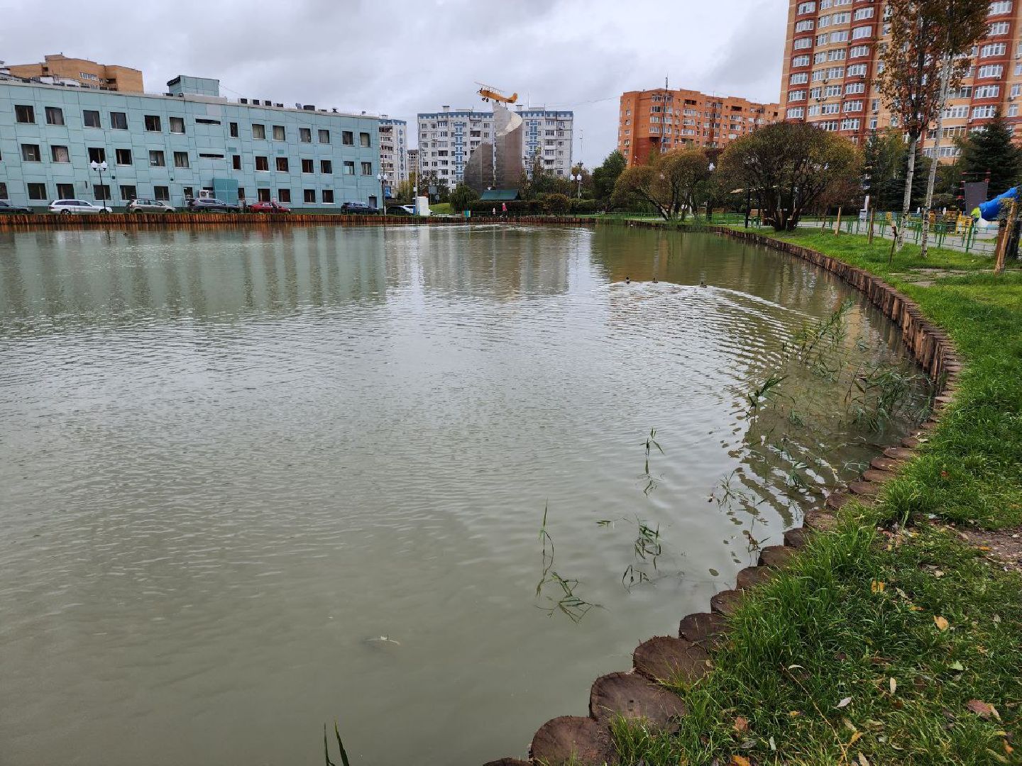 мытищи, Алексеевский пруд, сукромка, рыба, экология, рыбалка,