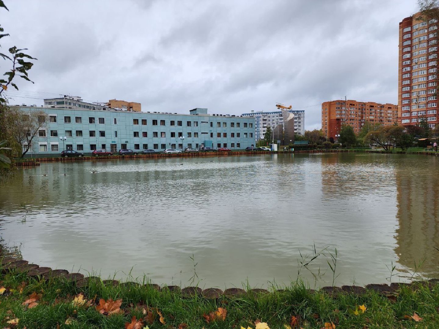 мытищи, Алексеевский пруд, сукромка, рыба, экология, рыбалка,