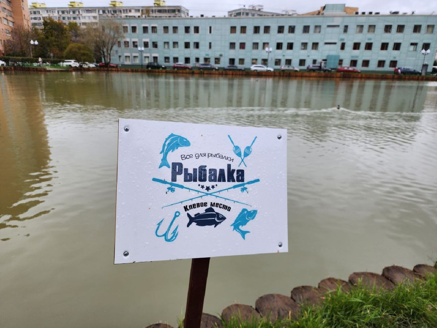 мытищи, Алексеевский пруд, сукромка, рыба, экология, рыбалка,