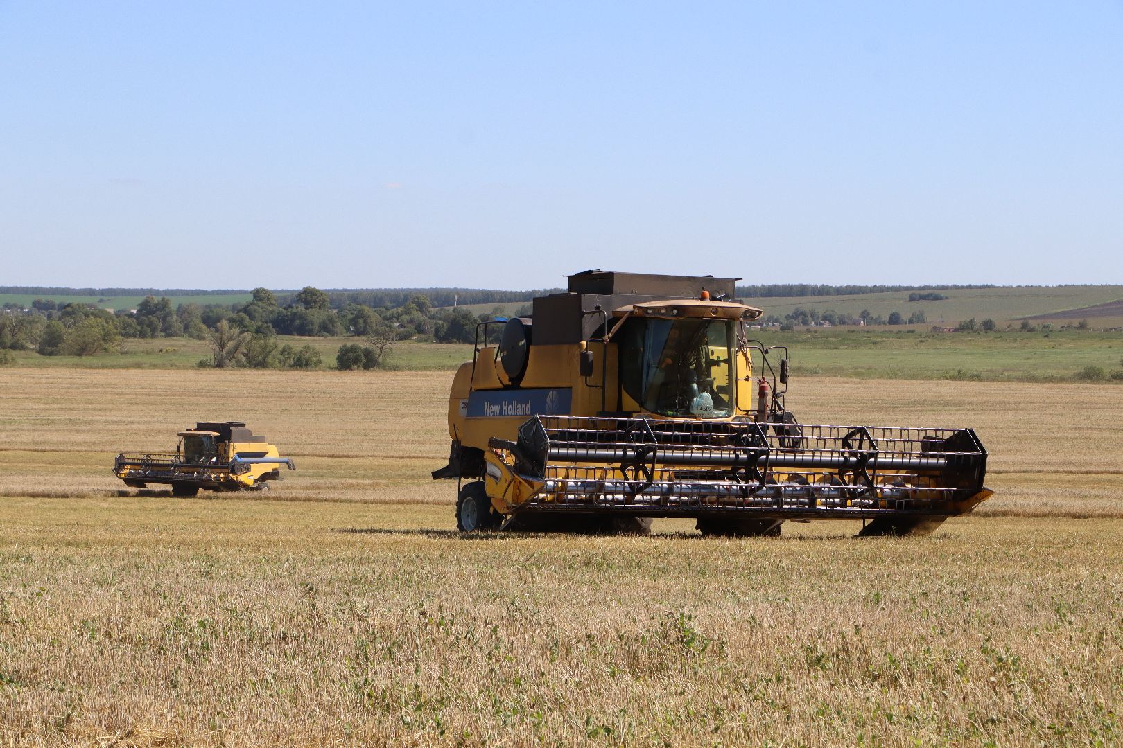 Серебряные Пруды, урожай 2023, Подмосковные 10 га, сельское хозяйство,
