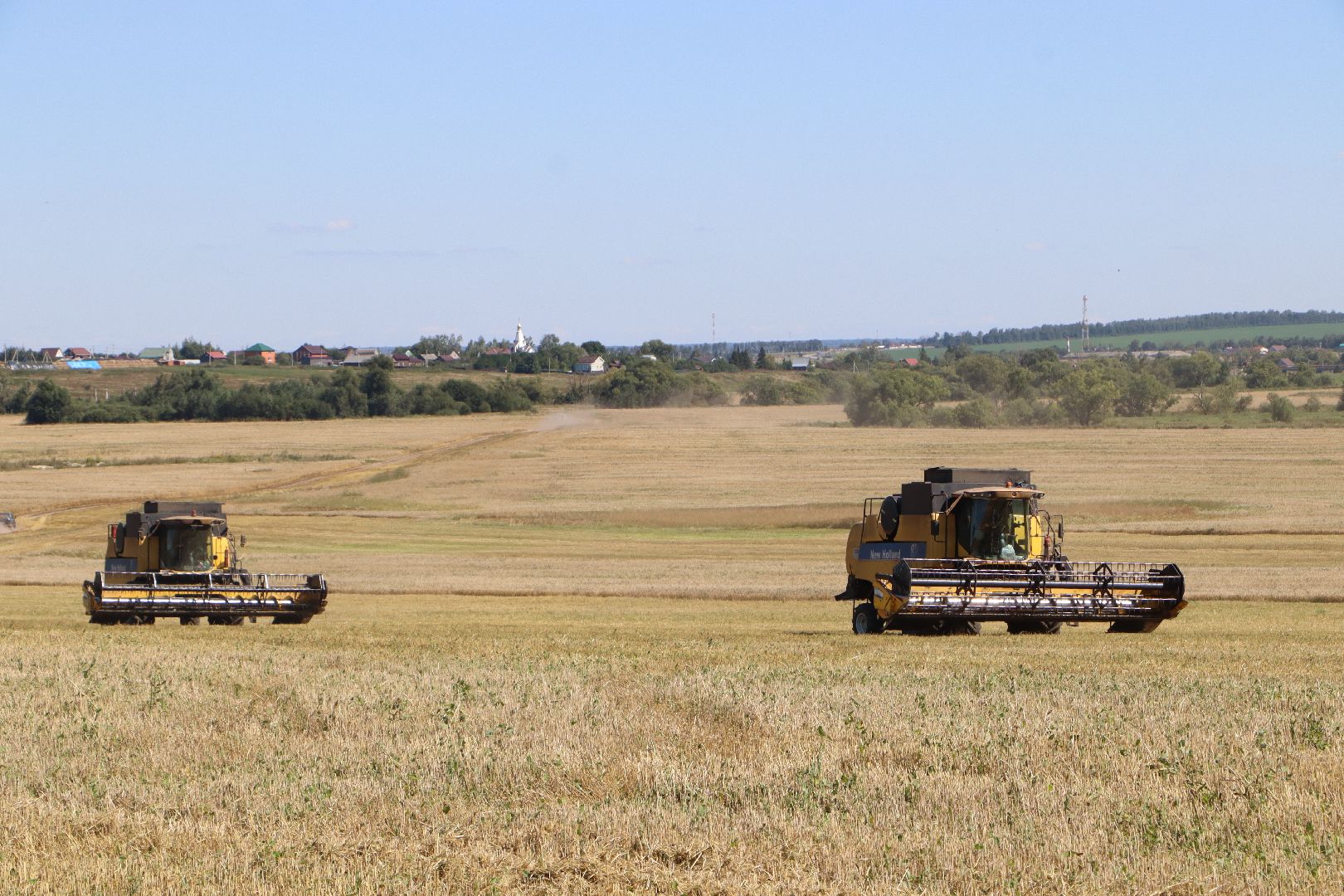 Серебряные Пруды, урожай 2023, Подмосковные 10 га, сельское хозяйство,