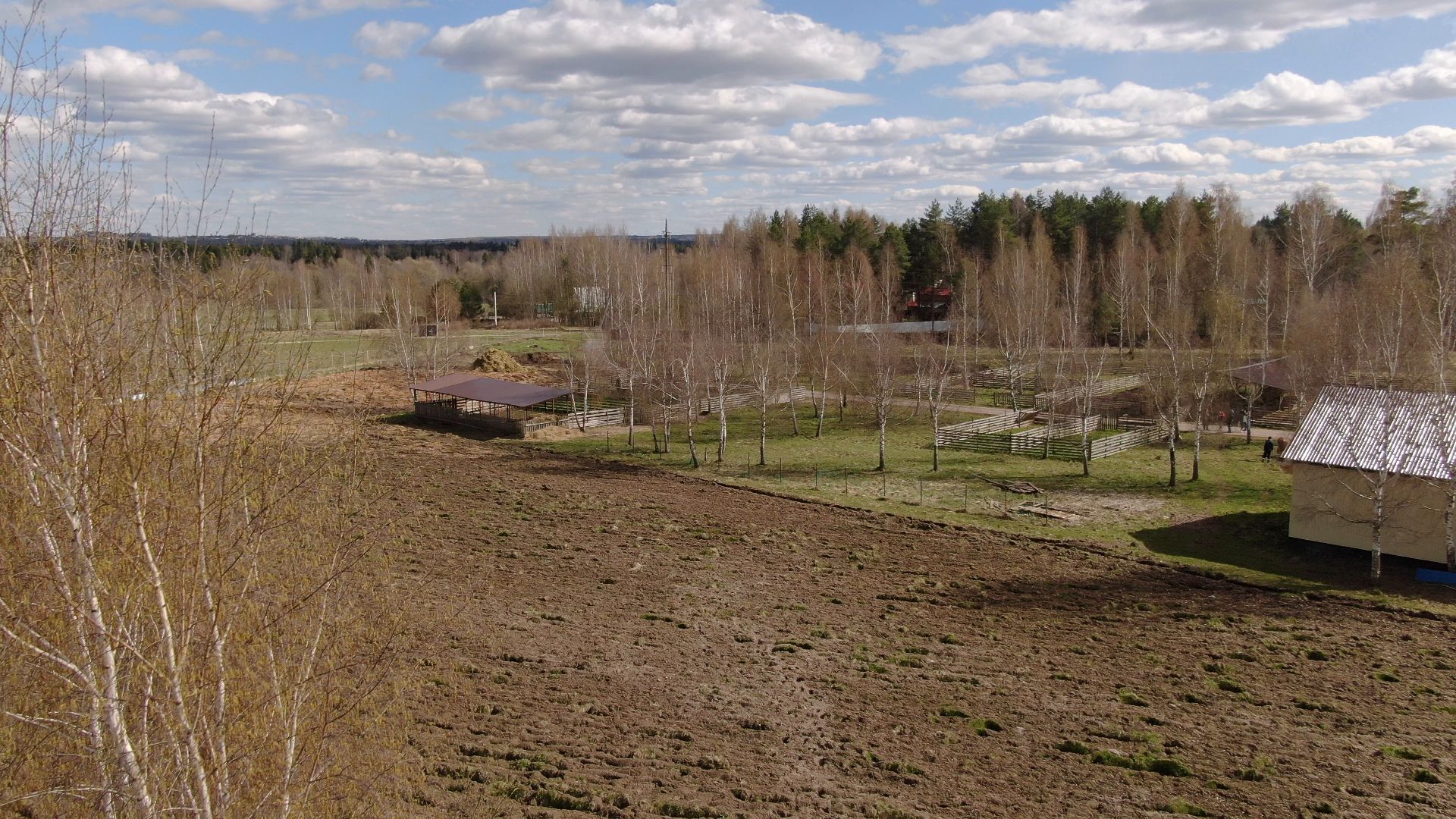 талдом, ферма, козы,видео с коптера,