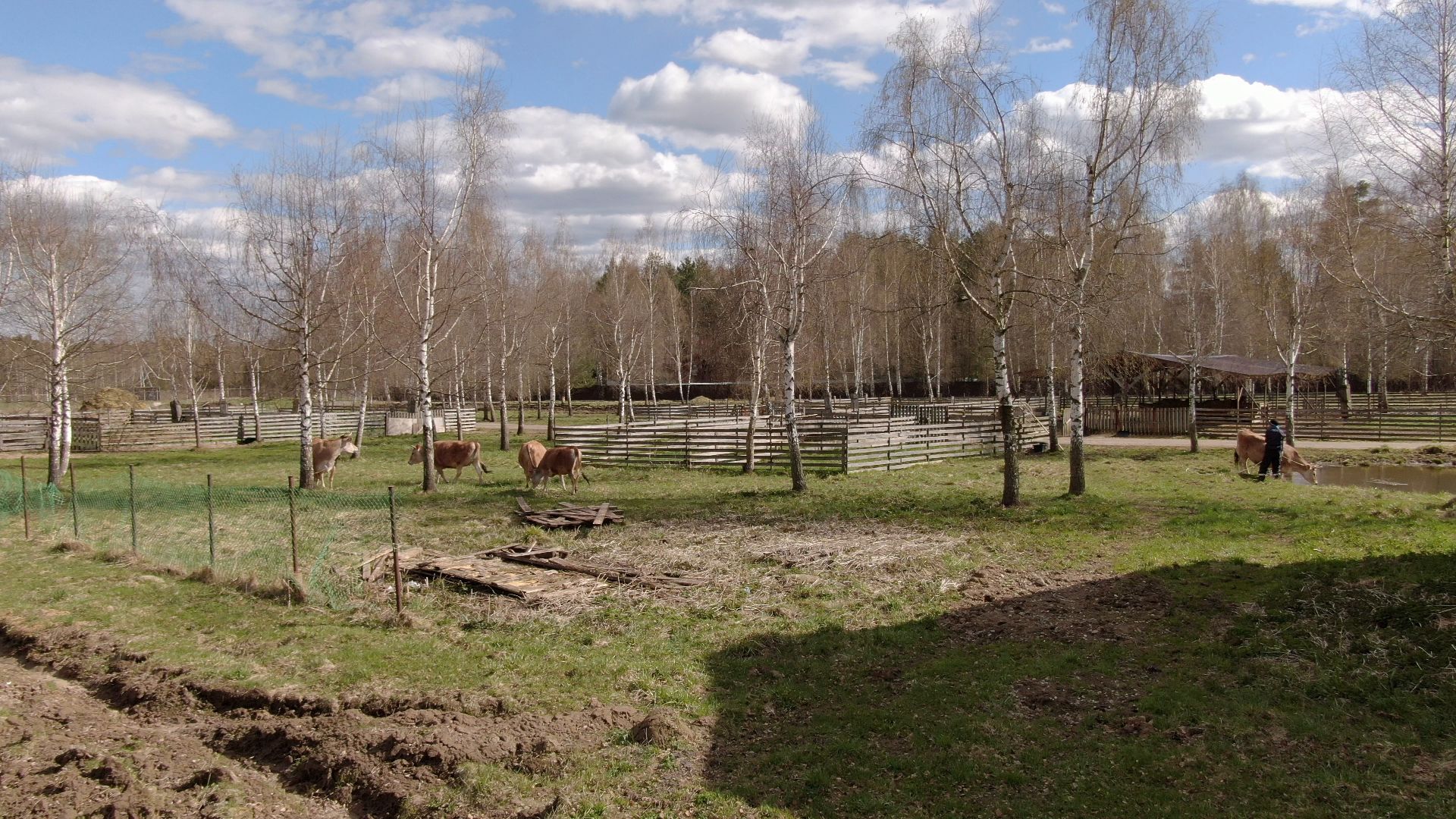 талдом, ферма, козы,видео с коптера,