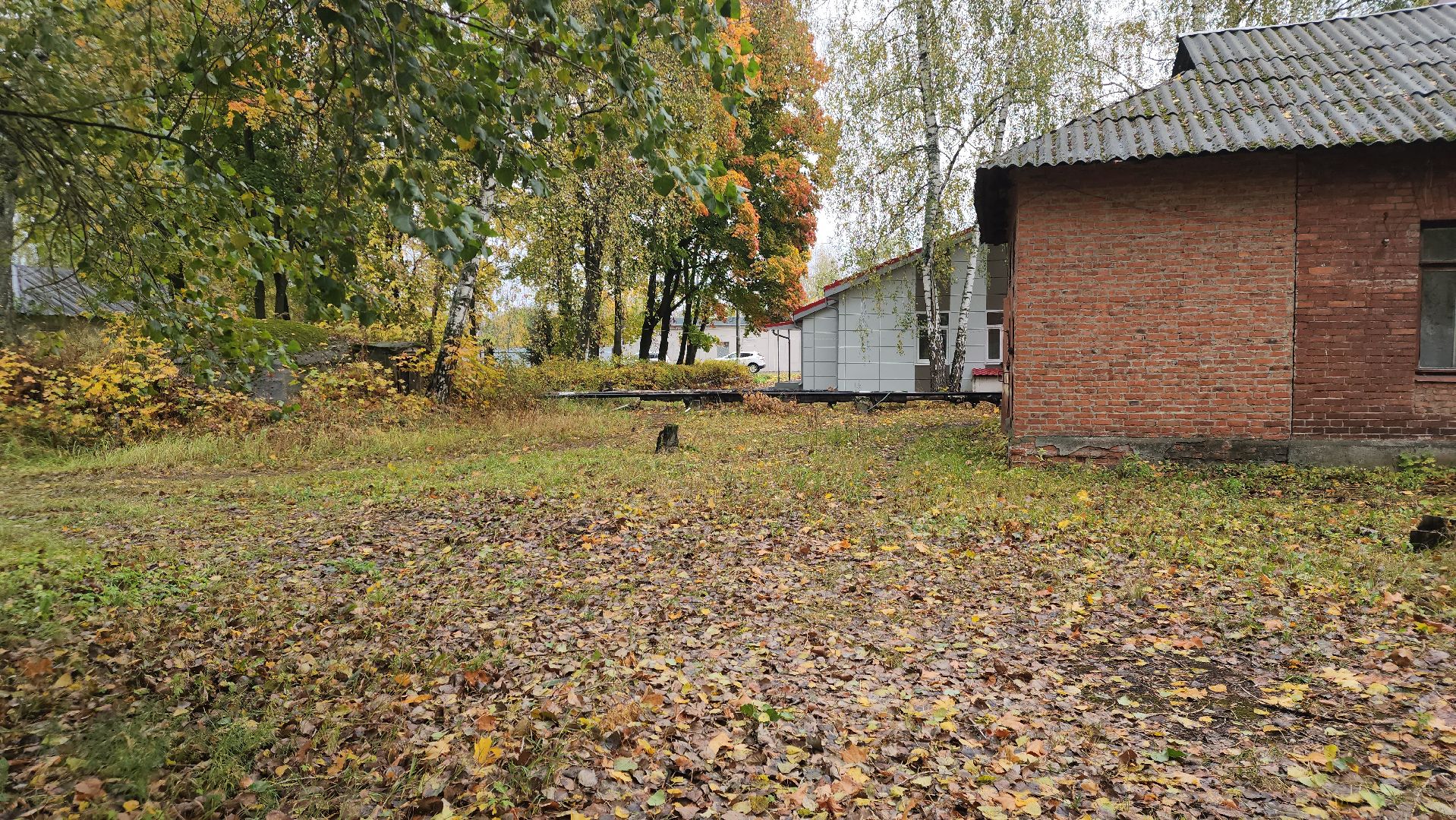 Медицина, Ремонт, Электрогорск, Городской округ Павловский Посад, Строительство, Люди,