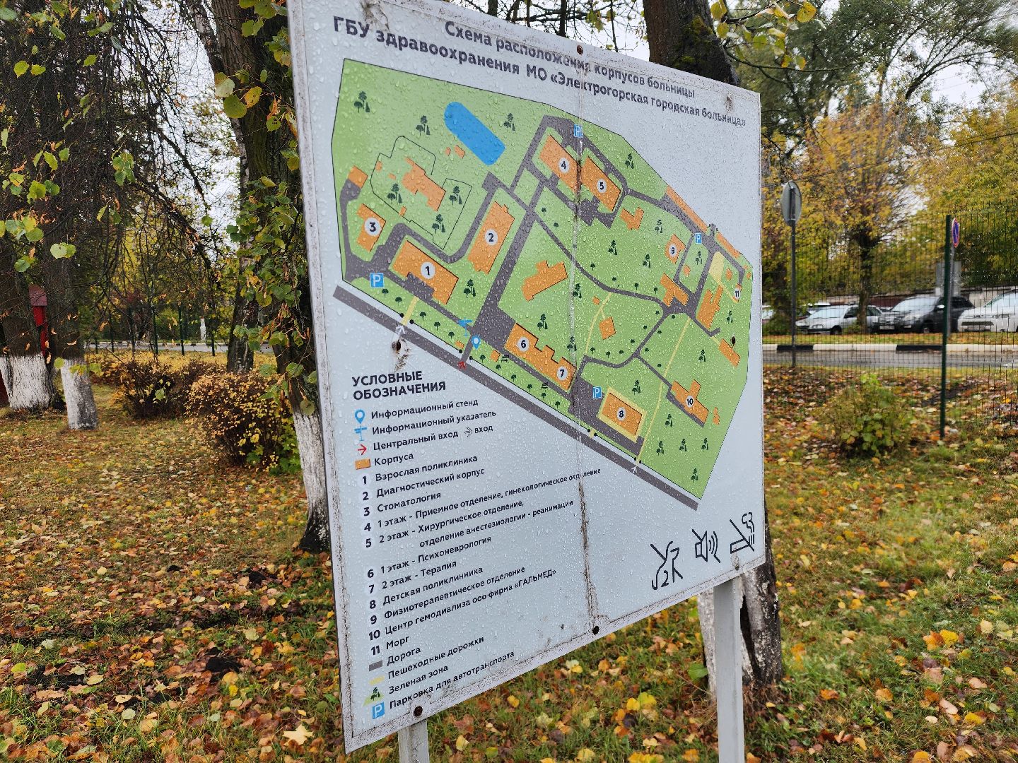 Медицина, Ремонт, Электрогорск, Городской округ Павловский Посад, Строительство, Люди,