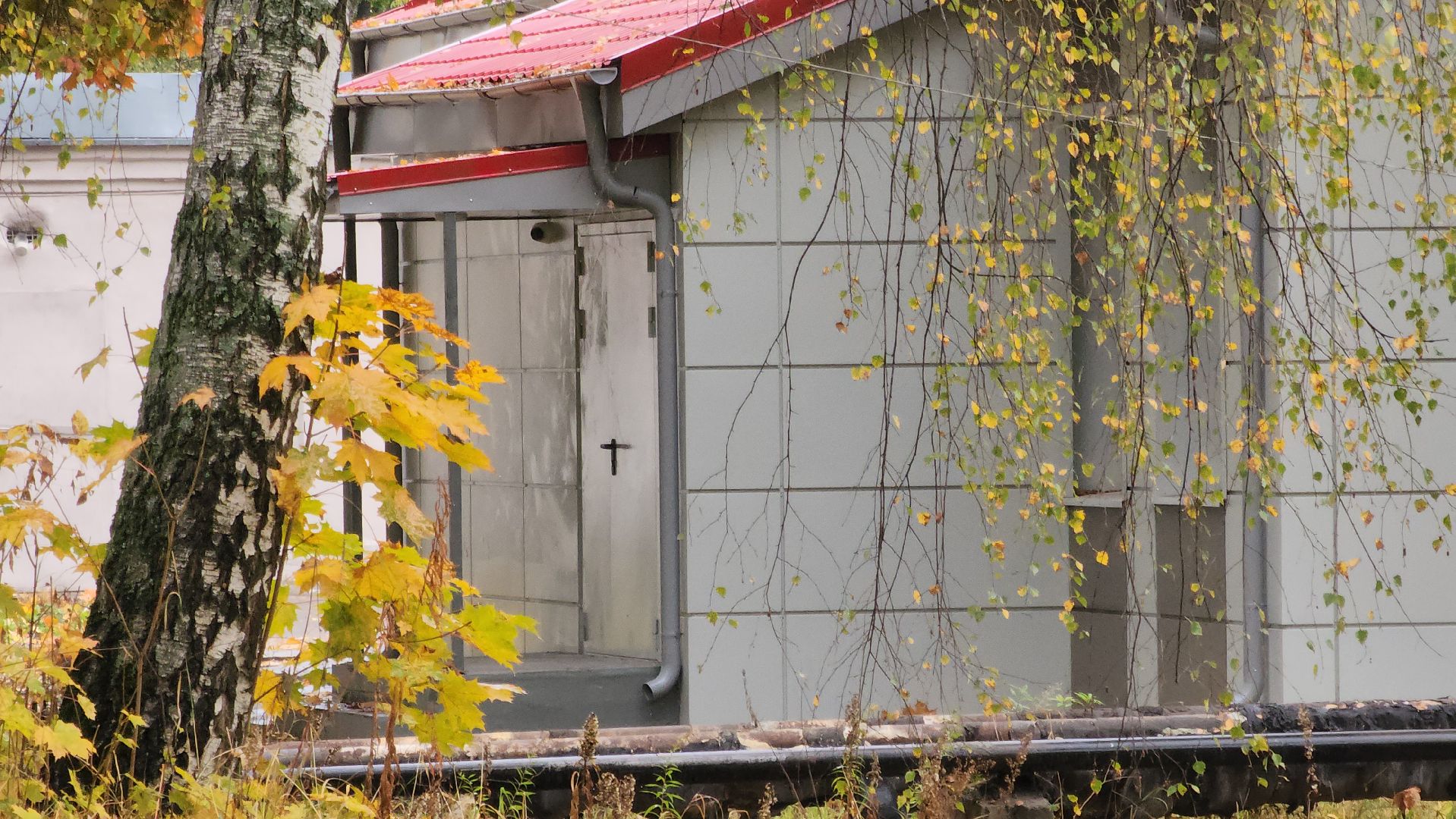 Медицина, Ремонт, Электрогорск, Городской округ Павловский Посад, Строительство, Люди,