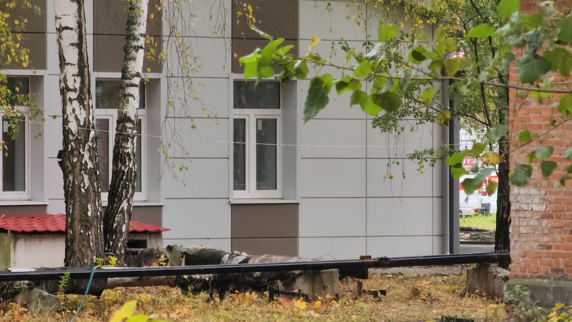 Медицина, Ремонт, Электрогорск, Городской округ Павловский Посад, Строительство, Люди,