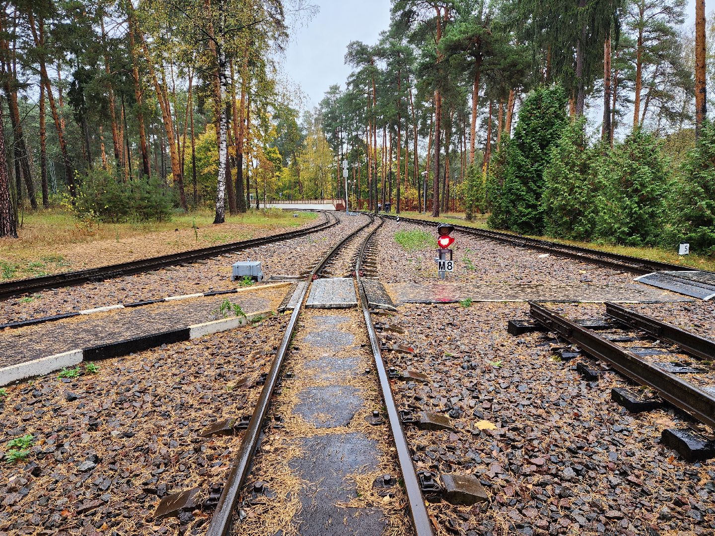 раменское, кратово, детская железная дорога, день открытых дверей,