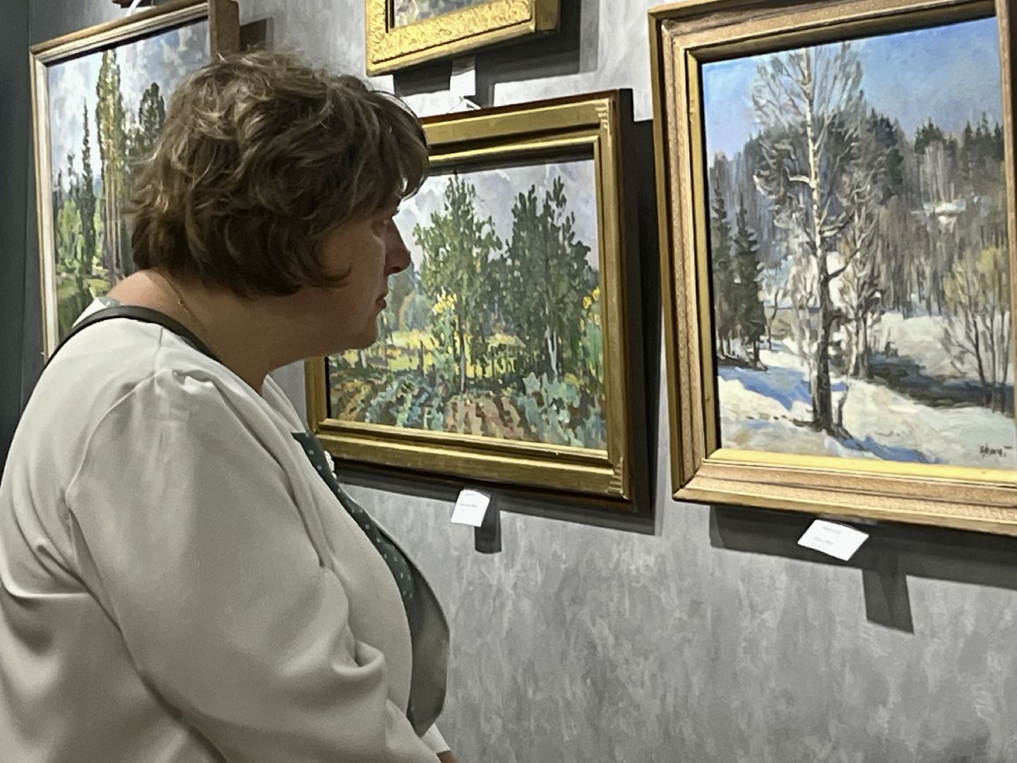 наро-фоминск, живопись, ЦДК Звезда, персональная выставка, культура подмосковья, история подмосковья,