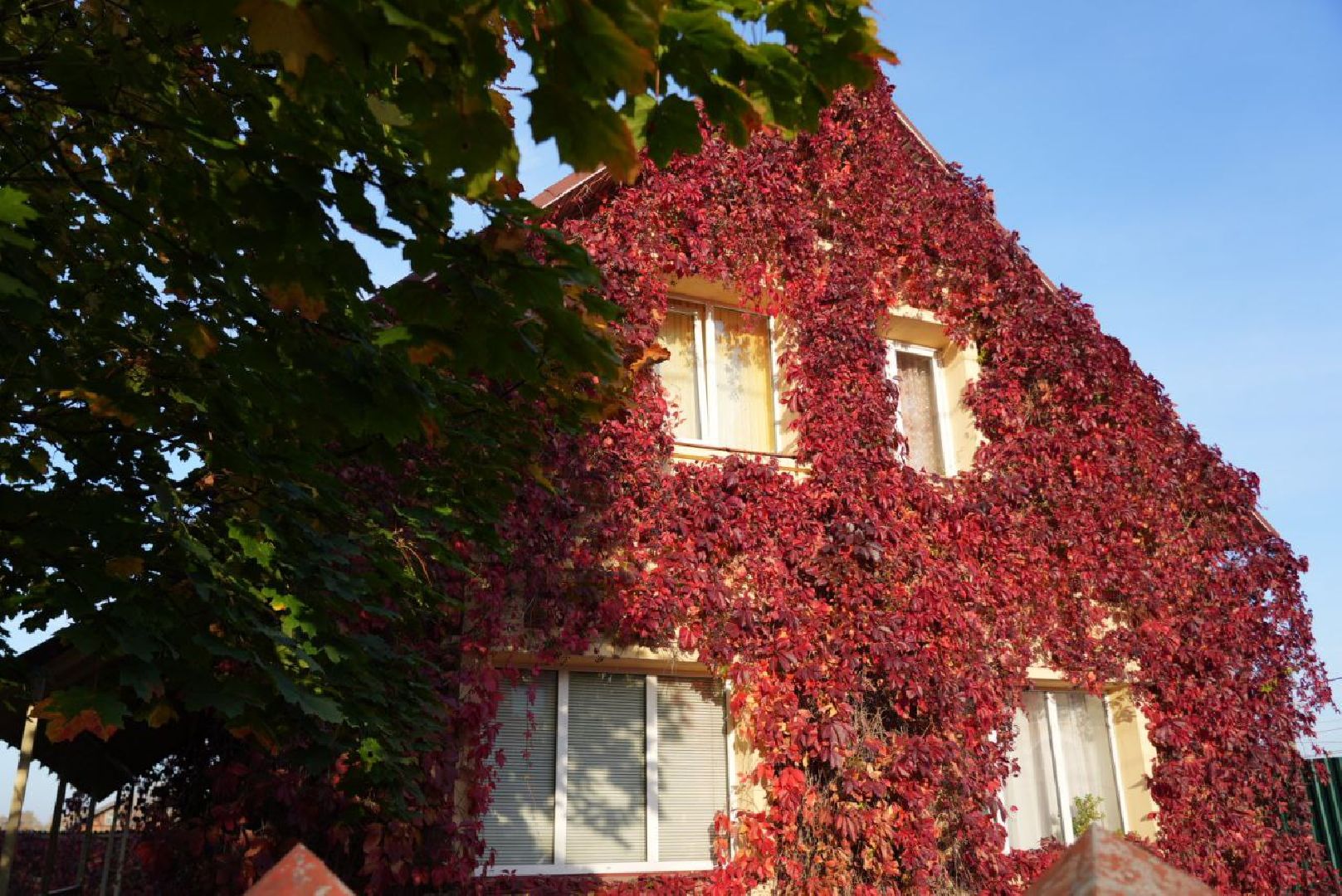 Сергиево-Посадский городской округ, Сергиев Посад, Фотограф, Необычные места, Природа, Осень,