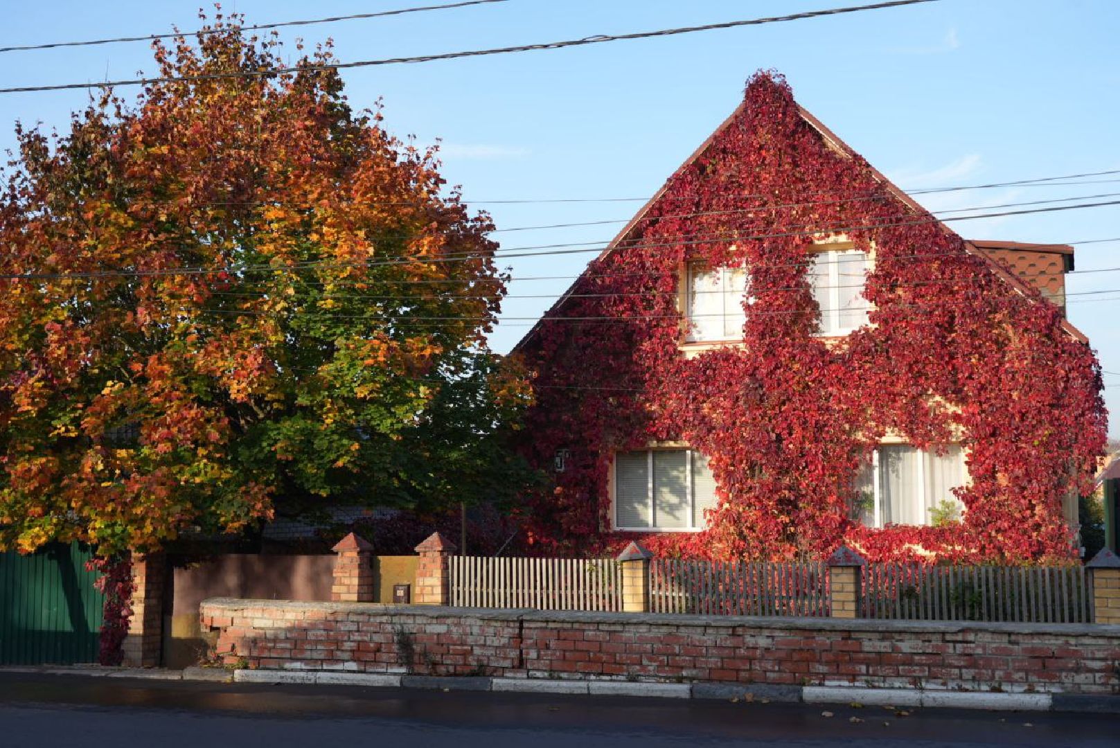 Сергиево-Посадский городской округ, Сергиев Посад, Фотограф, Необычные места, Природа, Осень,