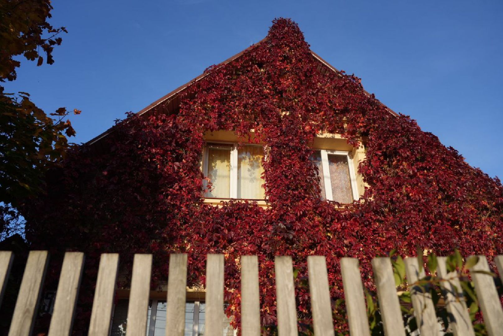 Сергиево-Посадский городской округ, Сергиев Посад, Фотограф, Необычные места, Природа, Осень,