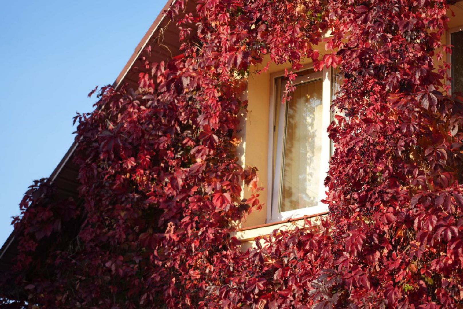 Сергиево-Посадский городской округ, Сергиев Посад, Фотограф, Необычные места, Природа, Осень,