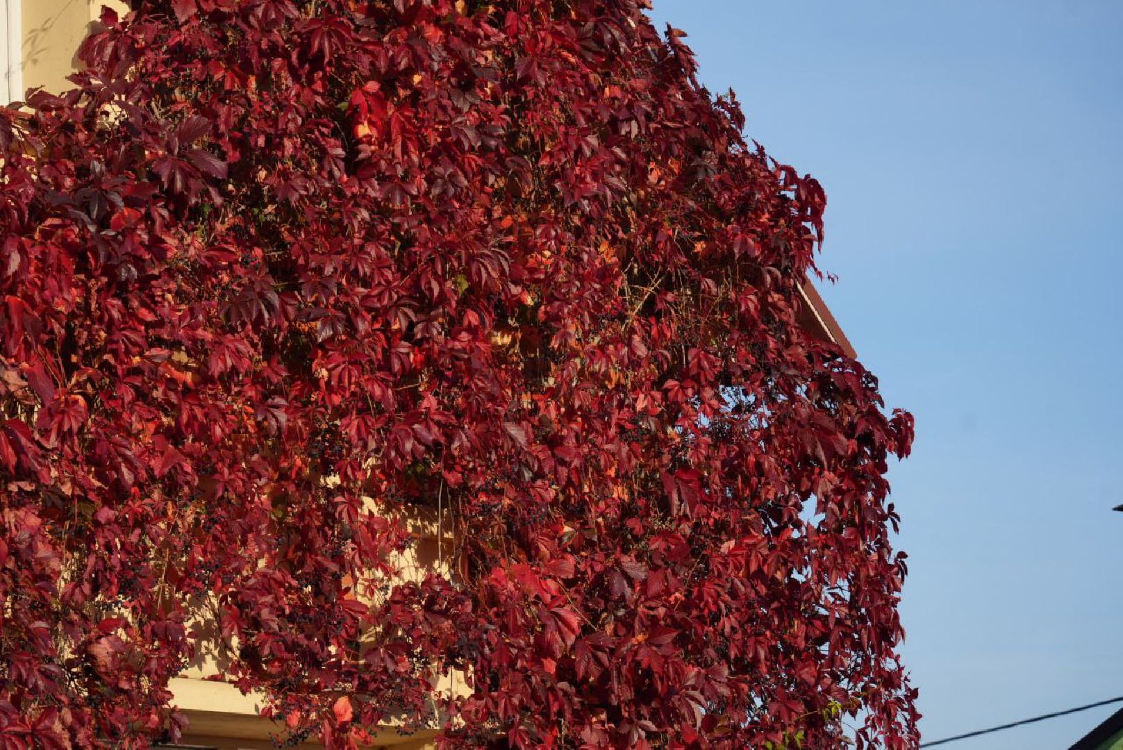 Сергиево-Посадский городской округ, Сергиев Посад, Фотограф, Необычные места, Природа, Осень,