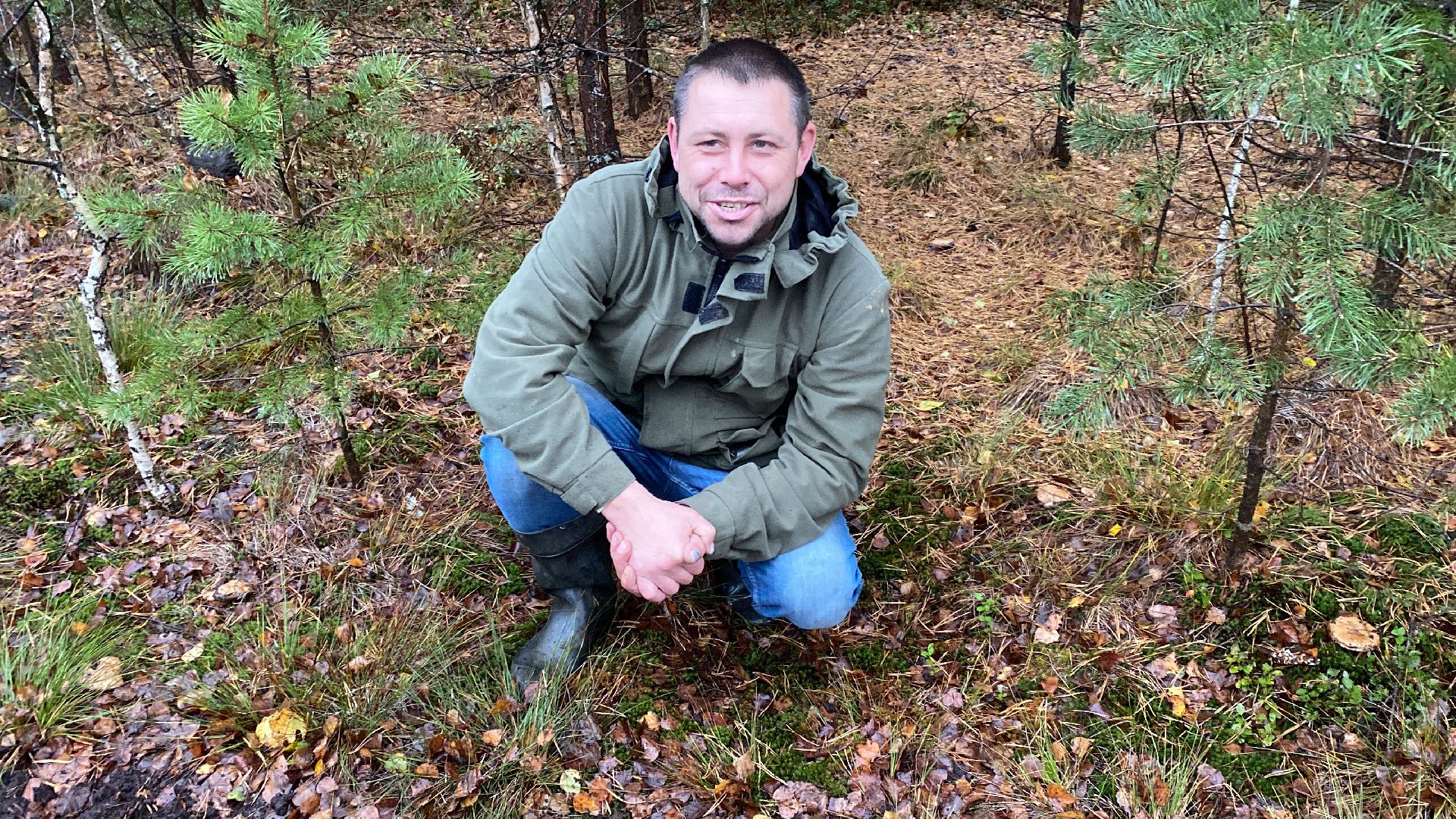 волоколамск, грибы, лес, болото, шитьково, грибной сезон, осень,