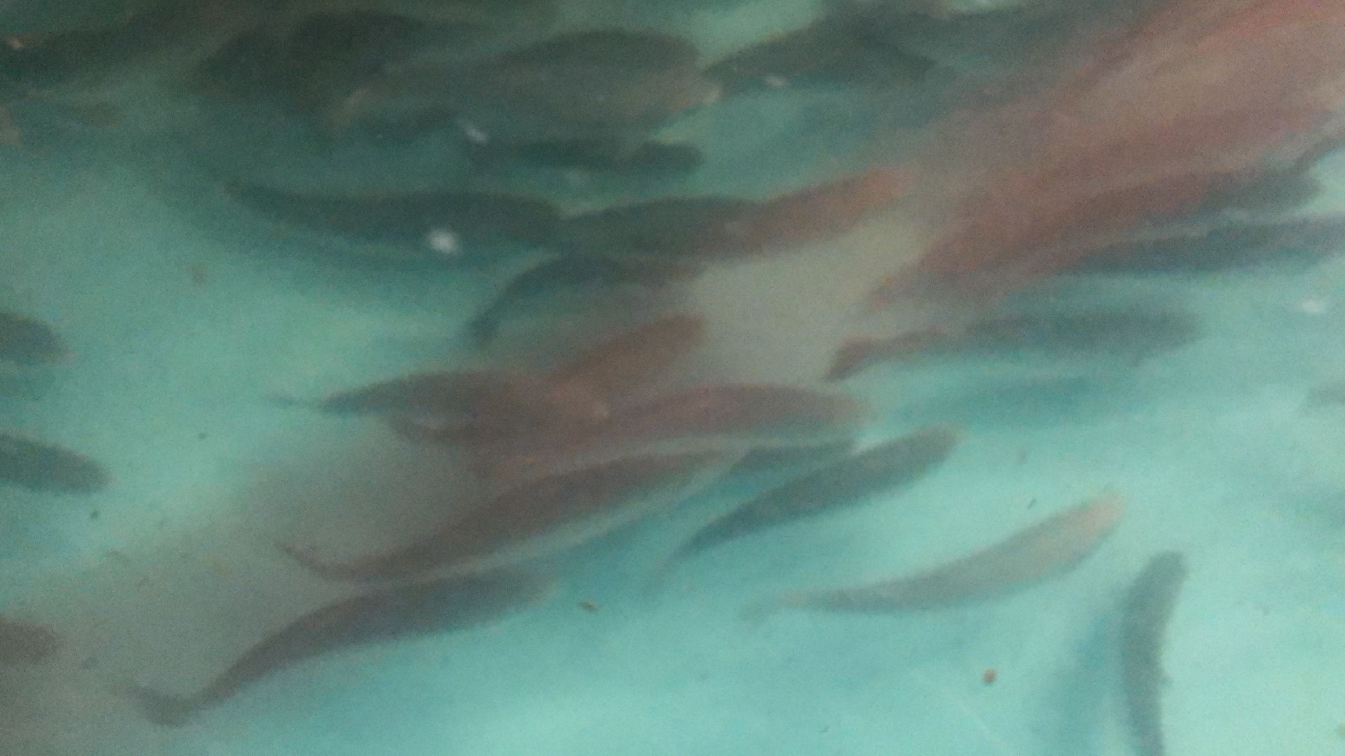 коломна, экономика, сельское хозяйство, рыба,