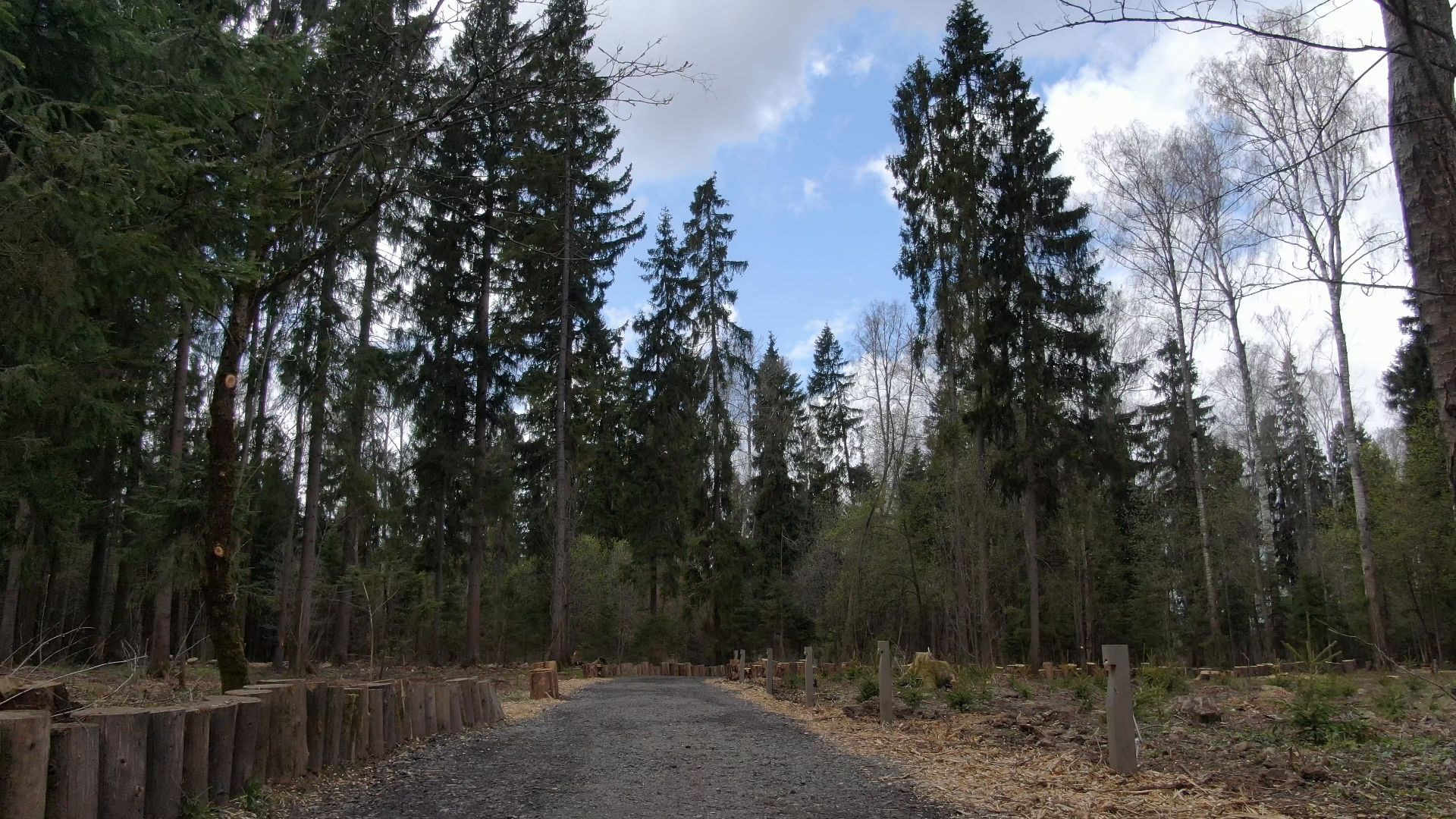 глэмпинг, пушкино, водохранилище,видео с коптера,