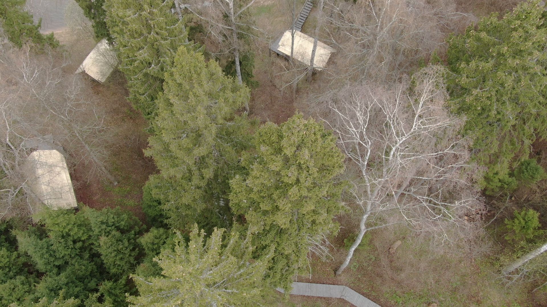 глэмпинг, пушкино, водохранилище,видео с коптера,