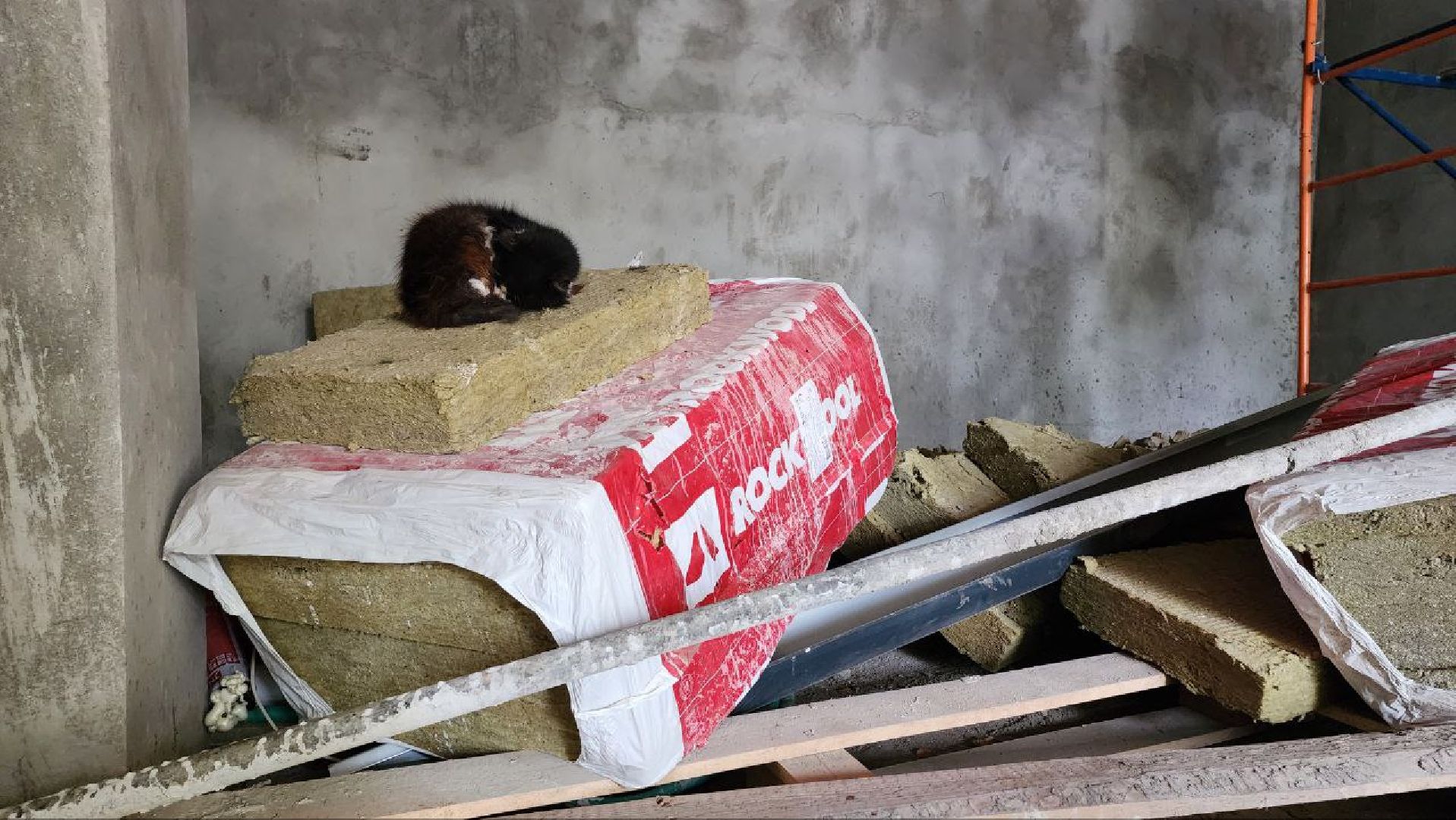 Дмитров, Бассейн Бриз, Минспорта,