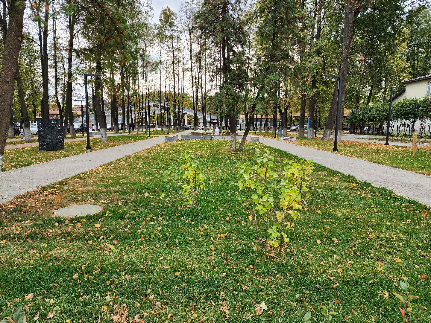 раменское, благоустройство, сквер у дк воровского,