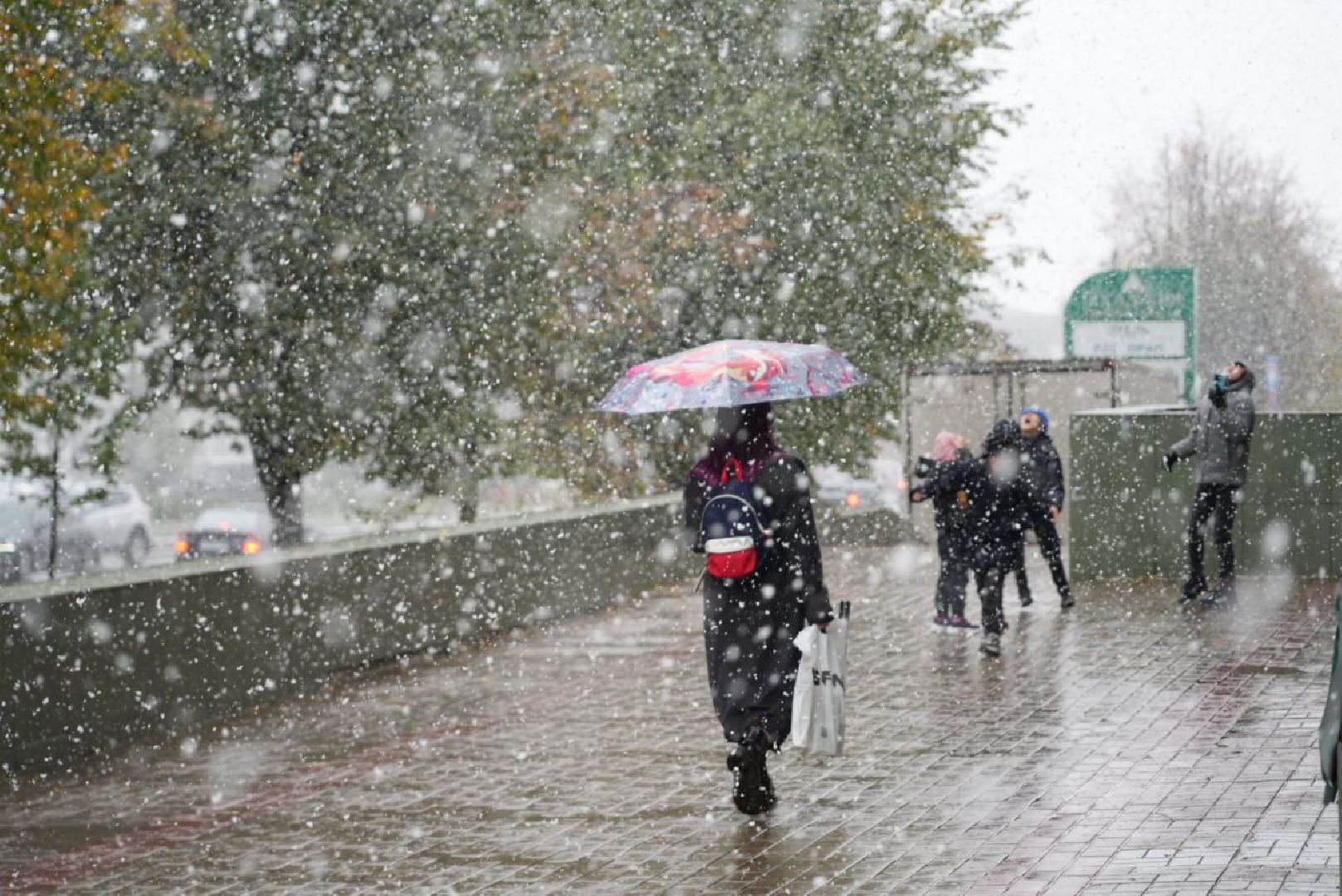Сергиево-Посадский городской округ, Метель, Погода, Осень, Зима, Город,
