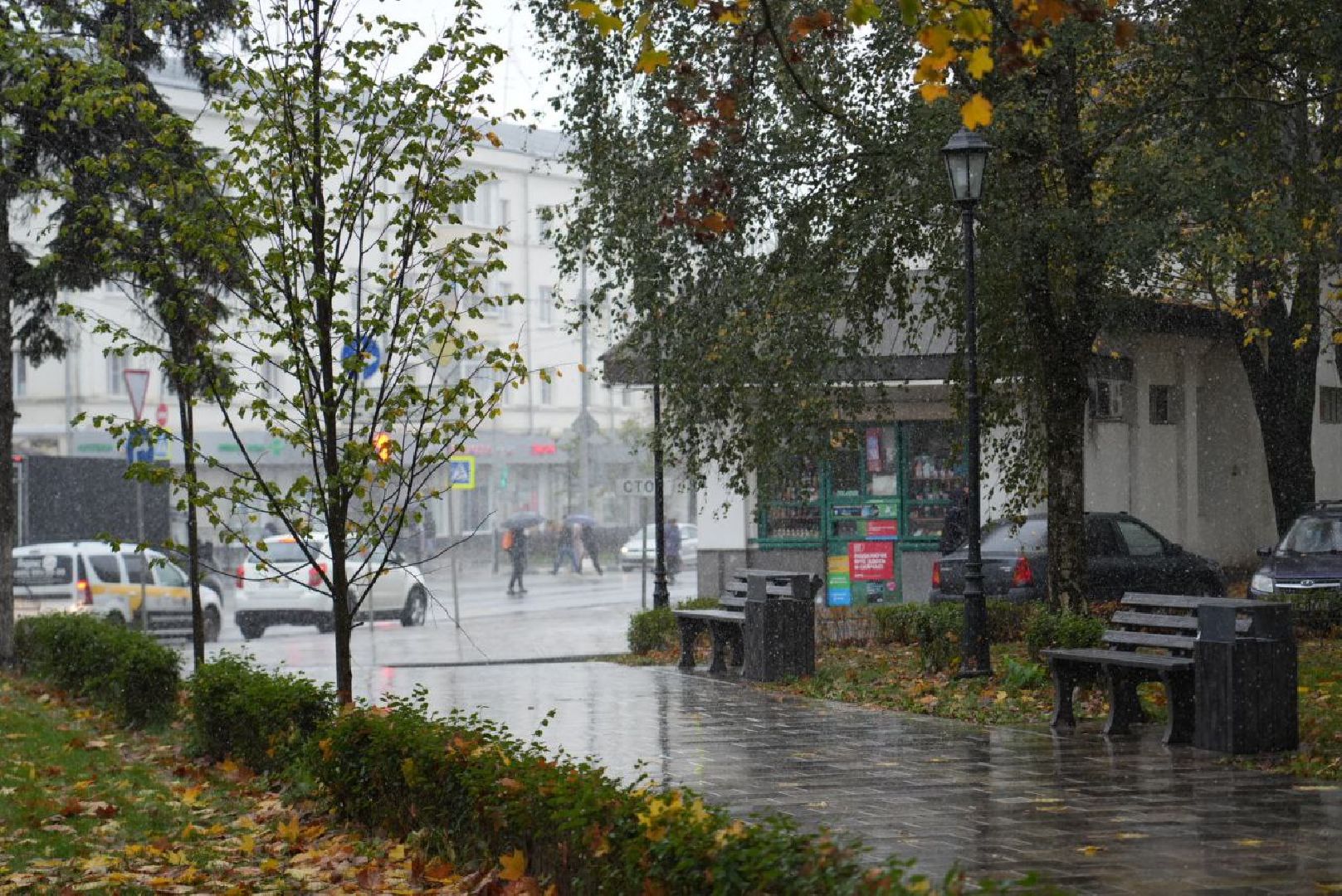 Сергиево-Посадский городской округ, Метель, Погода, Осень, Зима, Город,