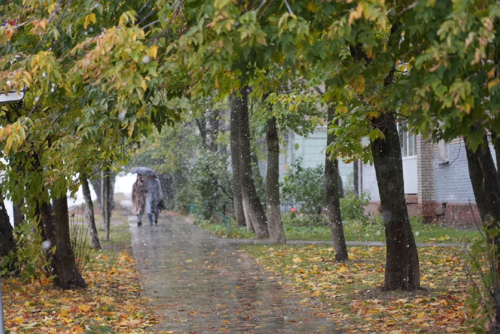 Сергиево-Посадский городской округ, Метель, Погода, Осень, Зима, Город,