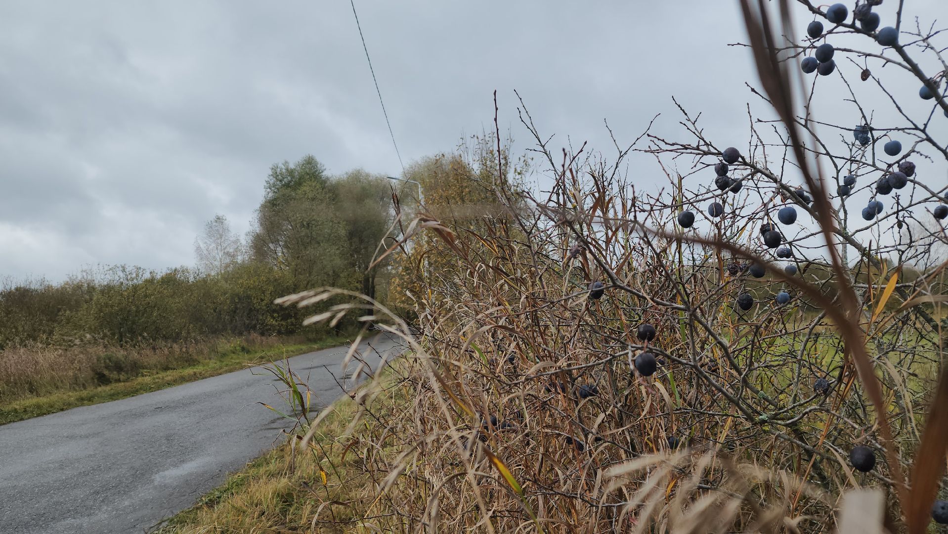 Благоустройство, Павловский Посад, Городской округ Павловский Посад, Освещение, Программа, Подмосковье,