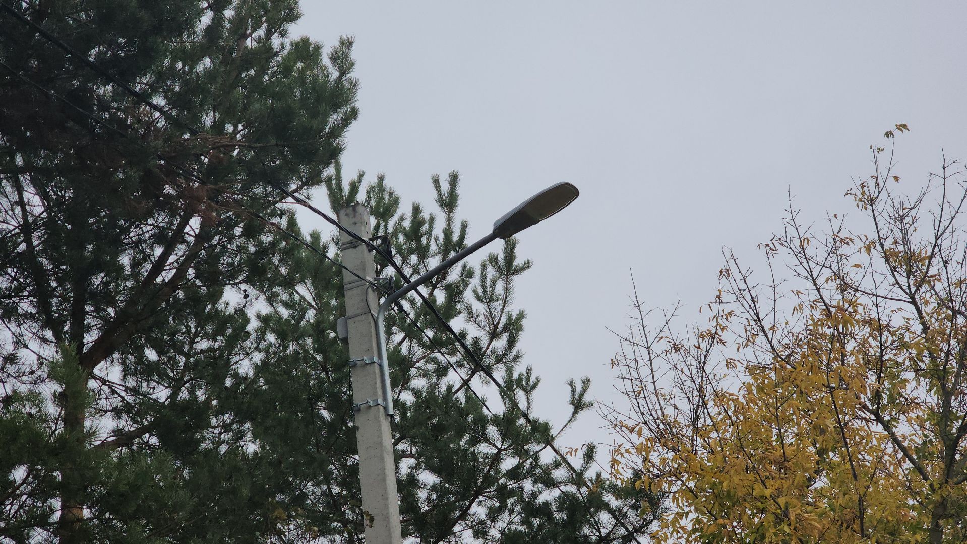 Благоустройство, Павловский Посад, Городской округ Павловский Посад, Освещение, Программа, Подмосковье,