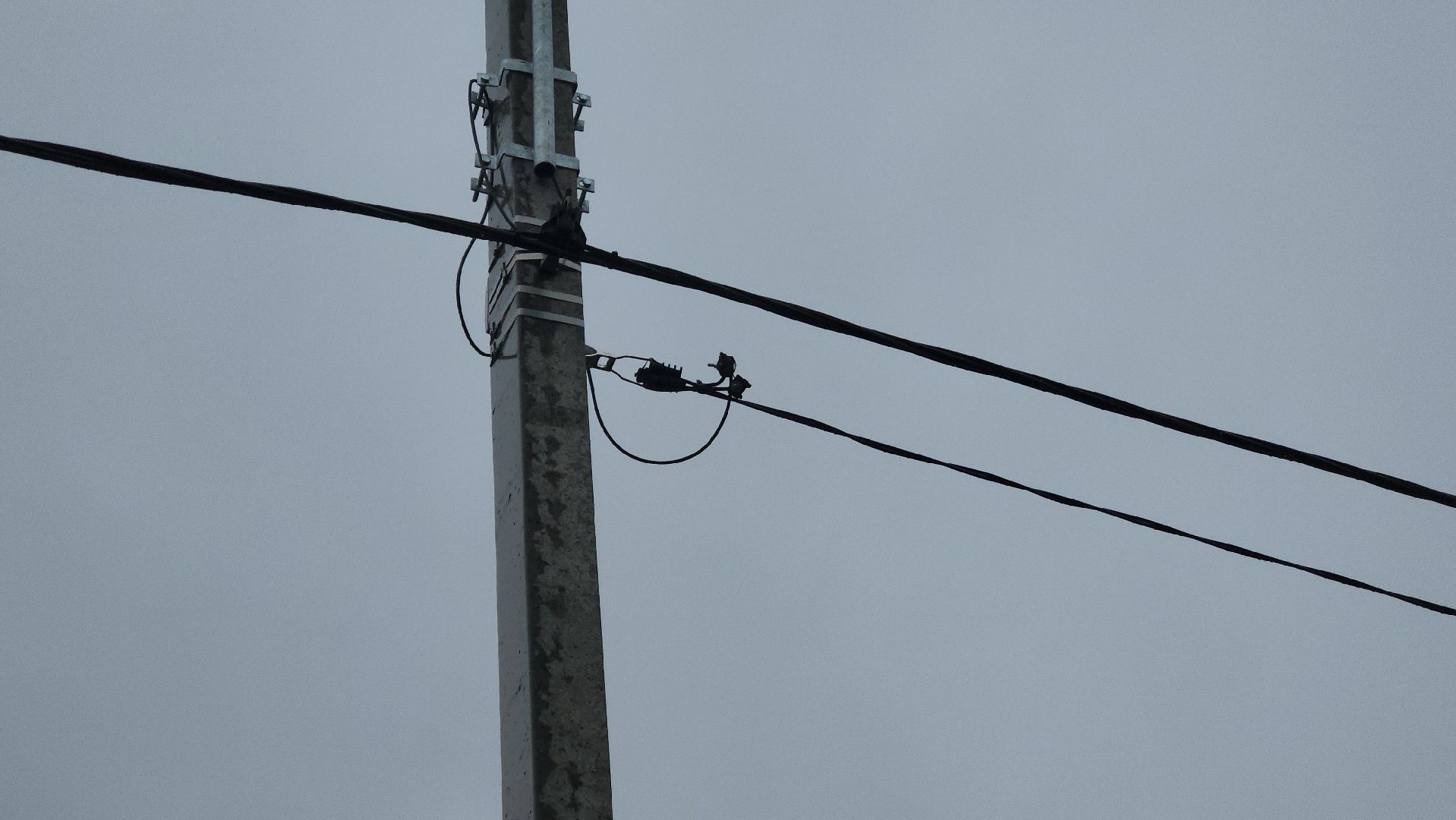 Благоустройство, Павловский Посад, Городской округ Павловский Посад, Освещение, Программа, Подмосковье,