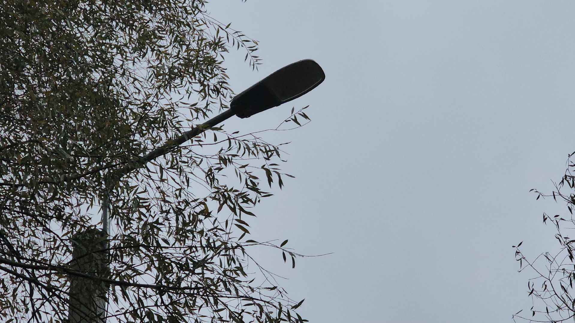 Благоустройство, Павловский Посад, Городской округ Павловский Посад, Освещение, Программа, Подмосковье,