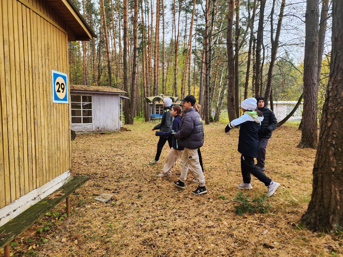 ступино, зарница, общество,