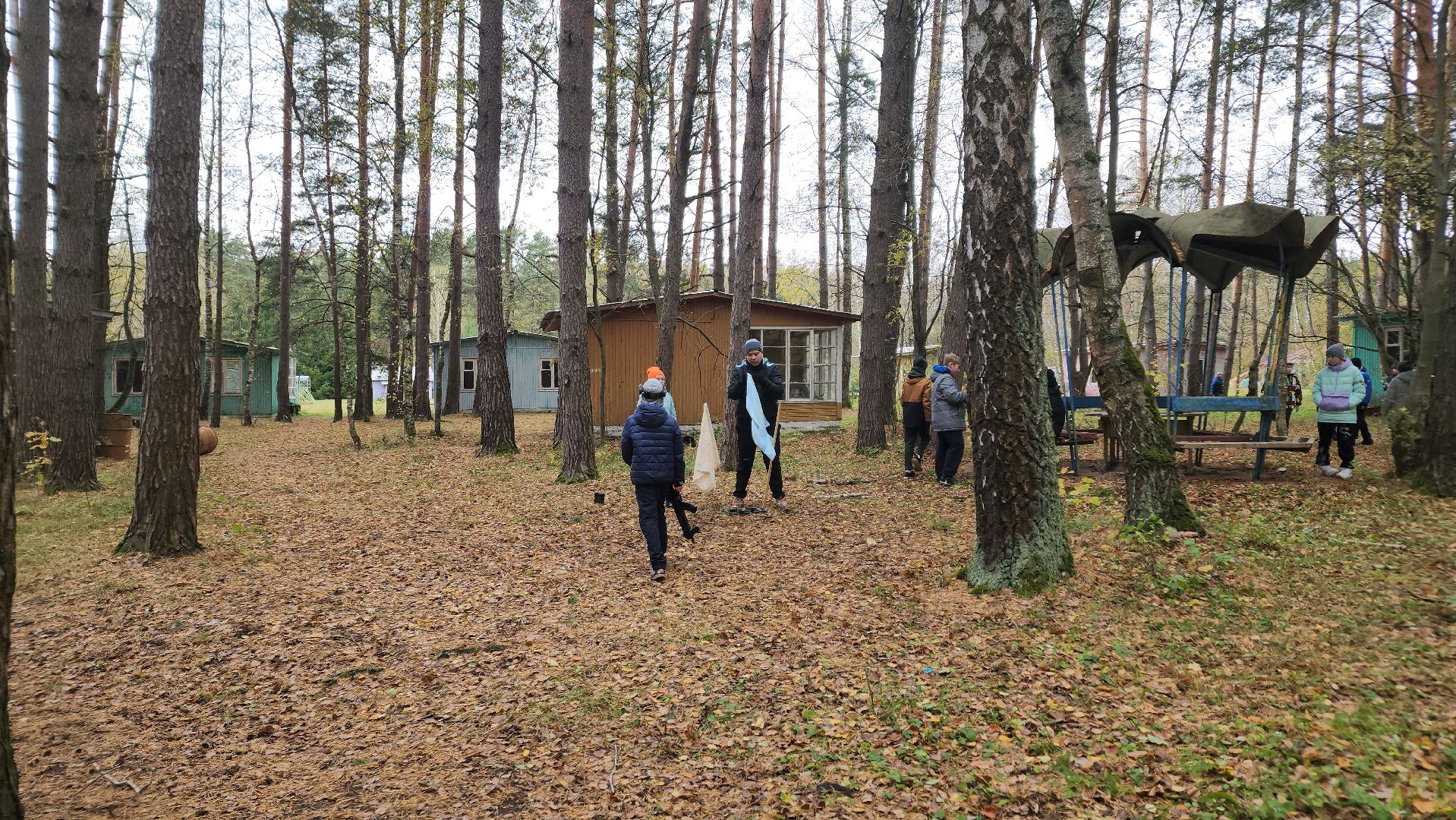 ступино, зарница, общество,
