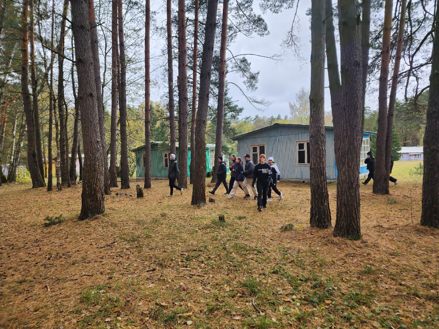 ступино, зарница, общество,