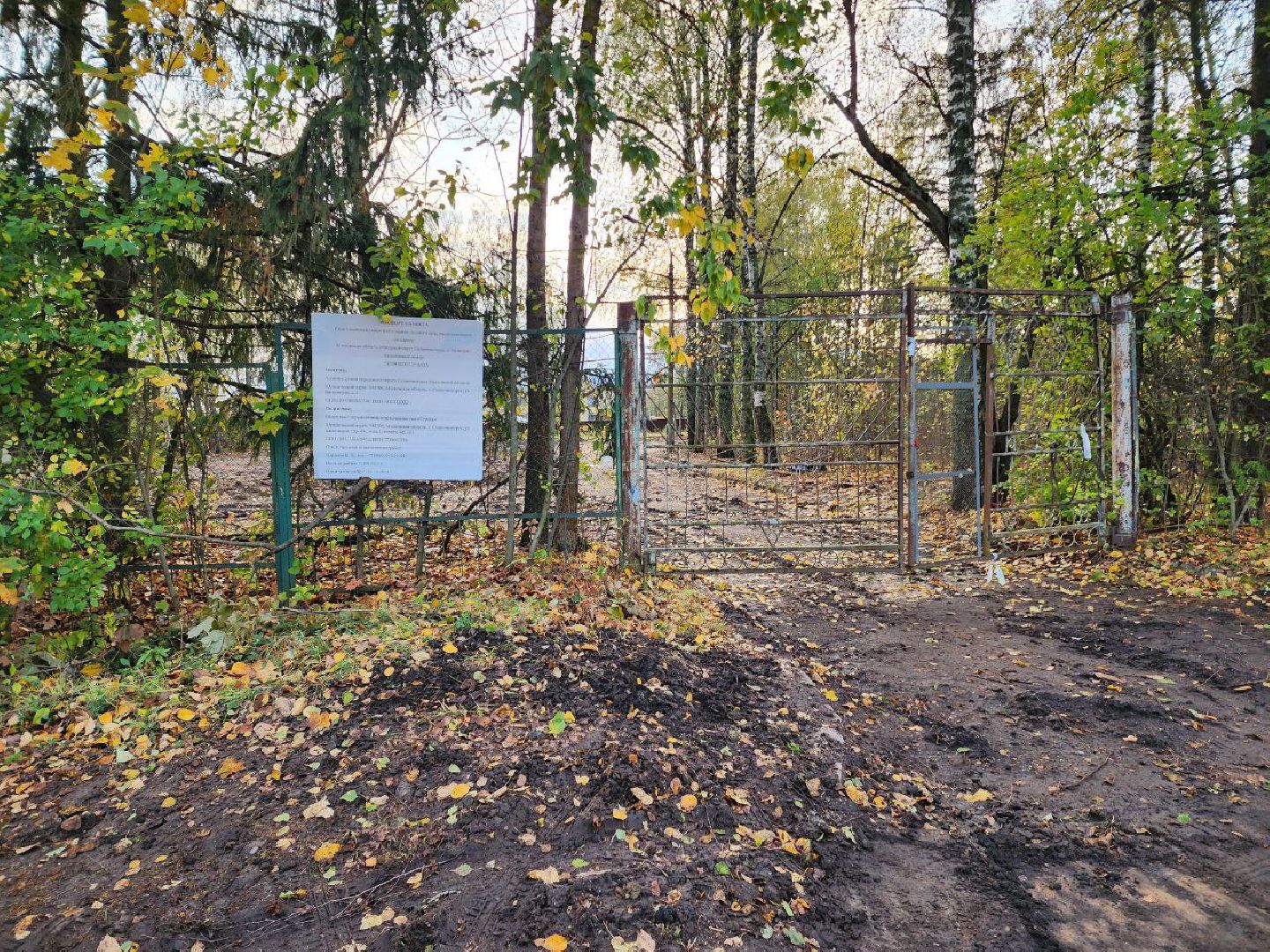 Солнечногорск, Детский сад, снос здания, Жители, Муниципалитет,