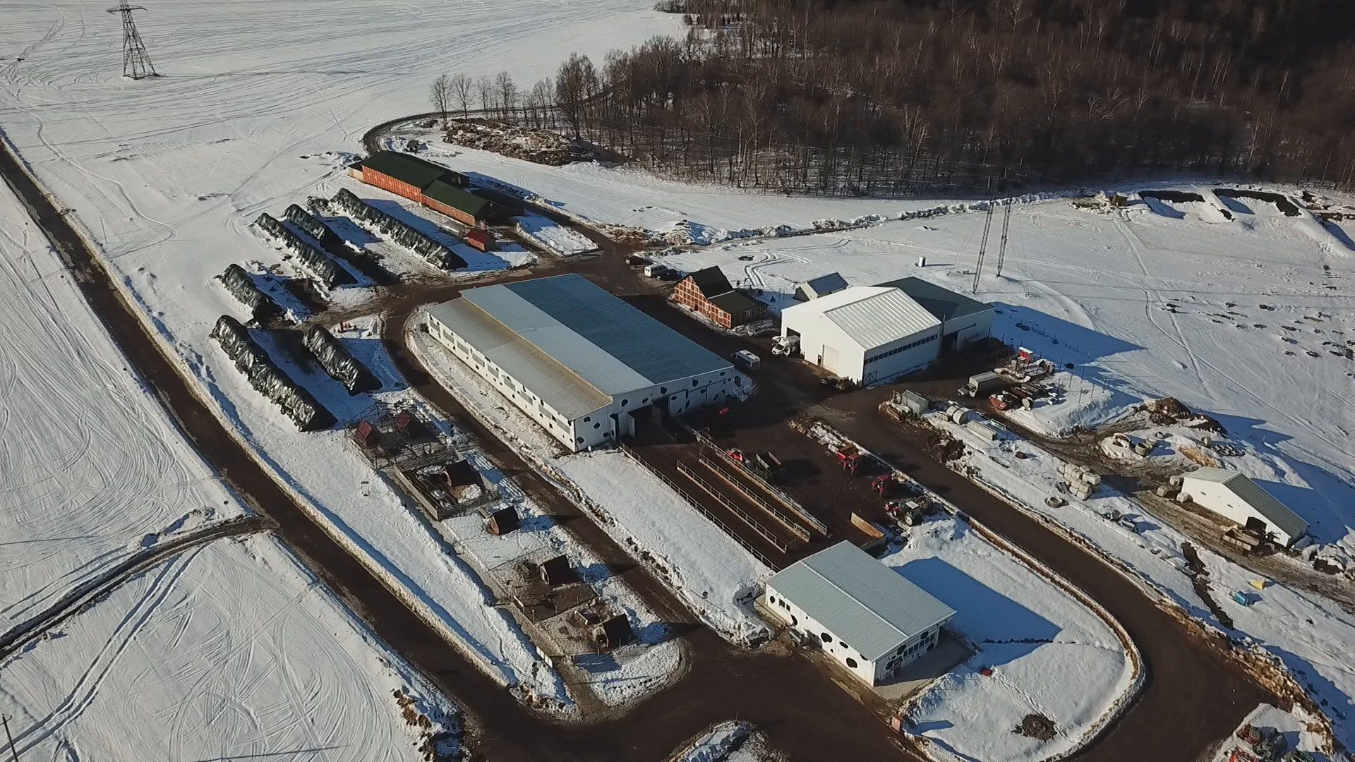 истра, бизнес, сыроварня,видео с коптера,