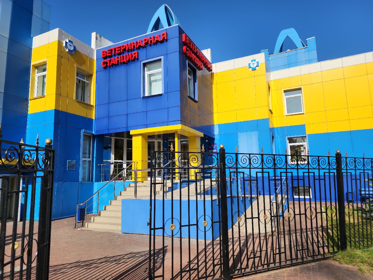 ступино, чипирование собак, ветеринария,