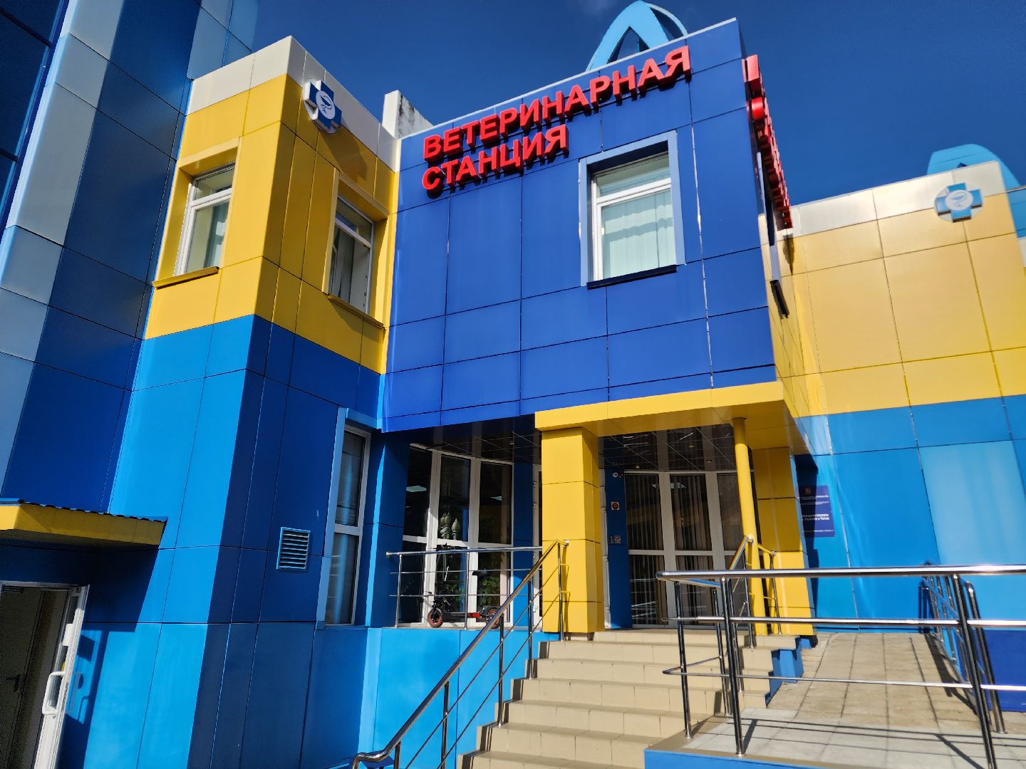 ступино, чипирование собак, ветеринария,