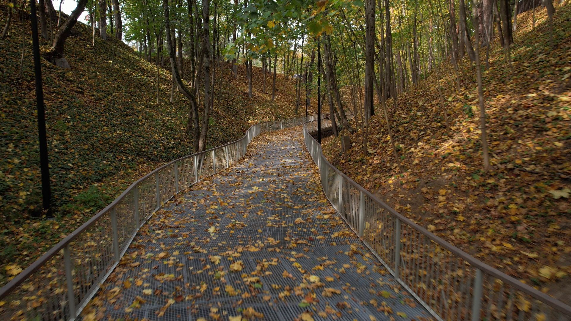 звенигород, овраг, благоустройство,видео с коптера,