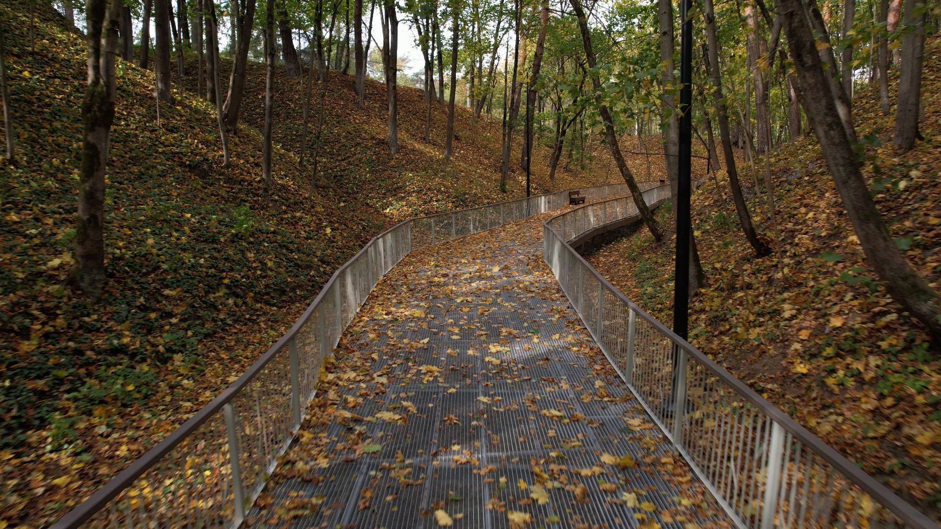 звенигород, овраг, благоустройство,видео с коптера,