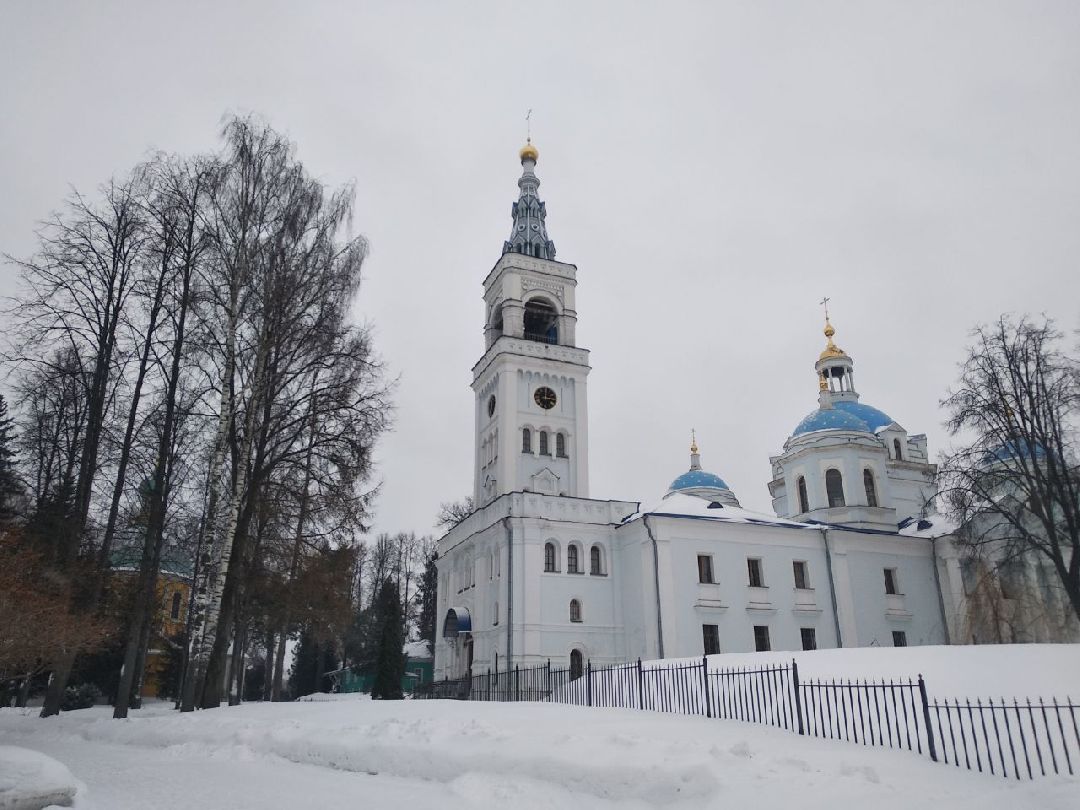 Дмитров, общество