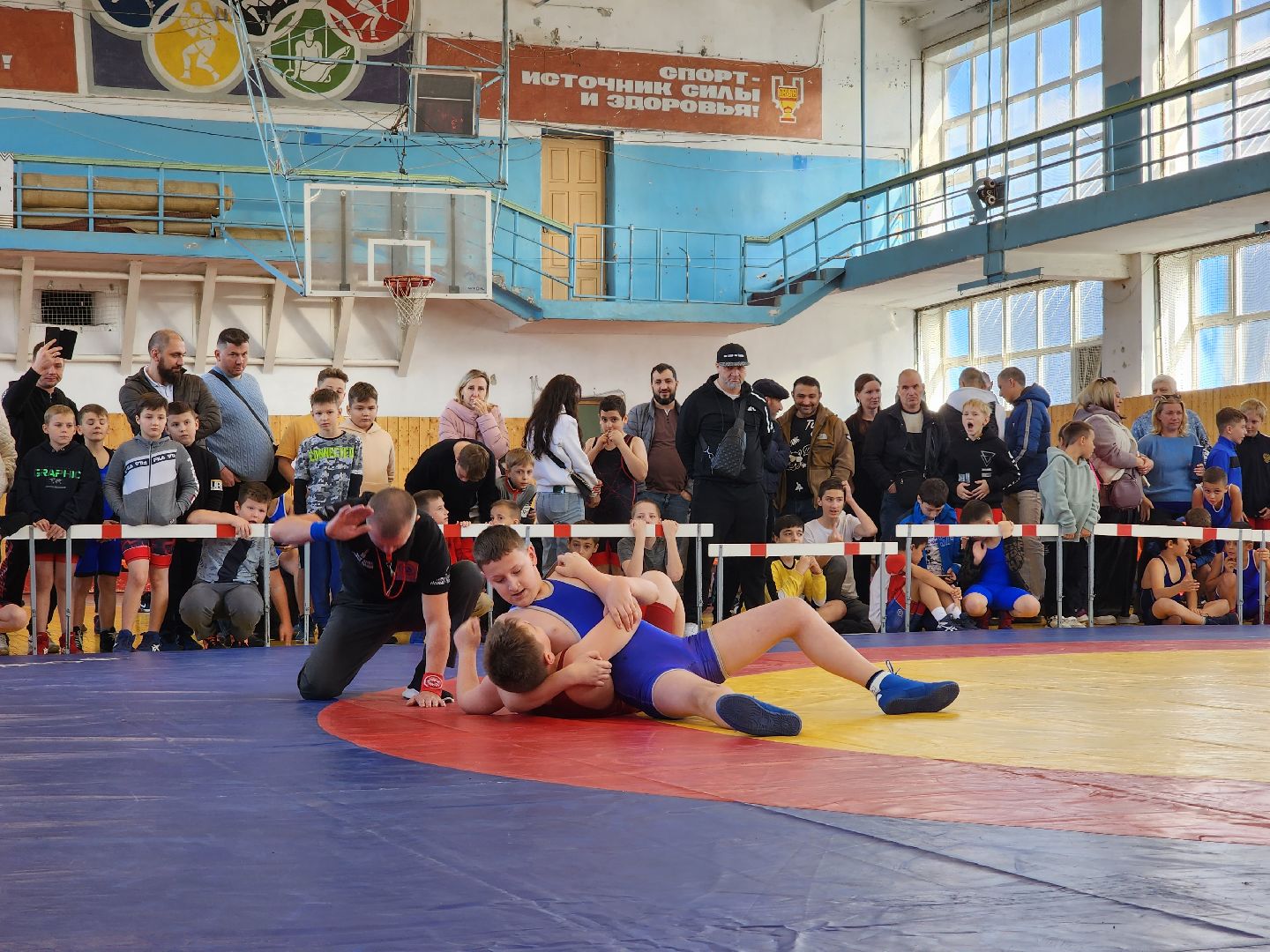 Греко-римская борьба, спорт, турнир, Ногинск, Богородский городской округ,