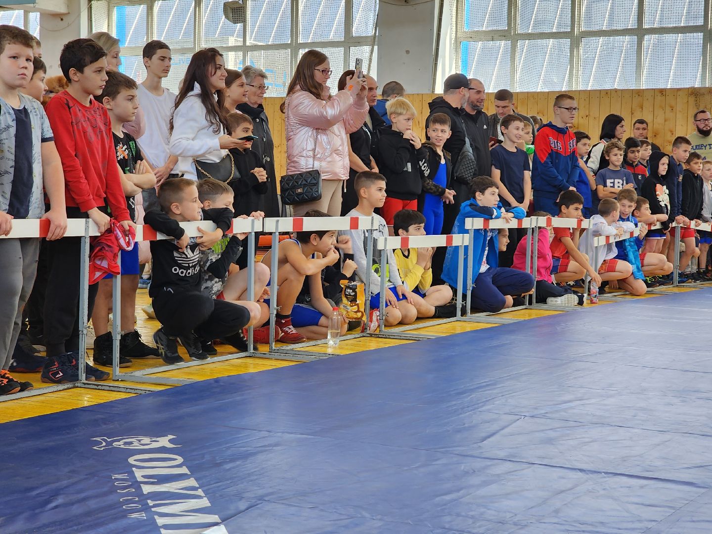 Греко-римская борьба, спорт, турнир, Ногинск, Богородский городской округ,