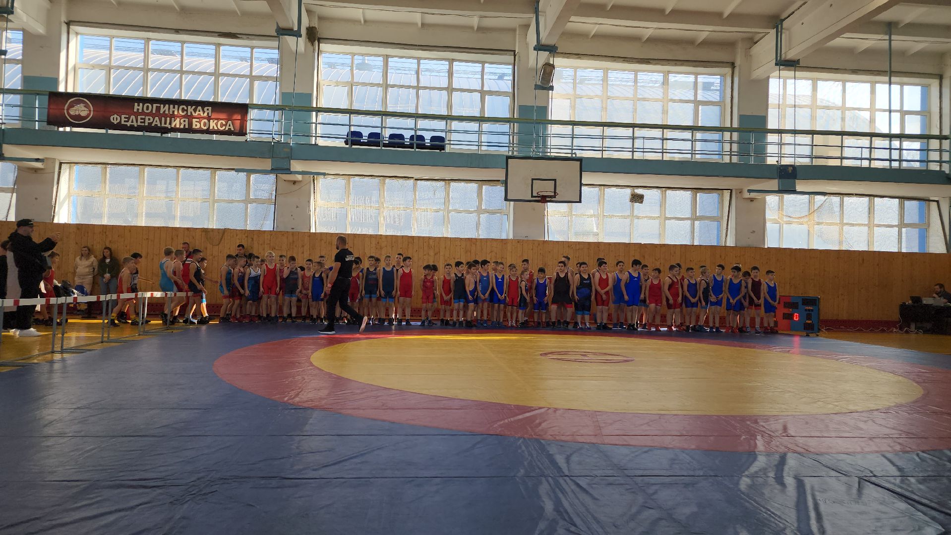 Греко-римская борьба, спорт, турнир, Ногинск, Богородский городской округ,