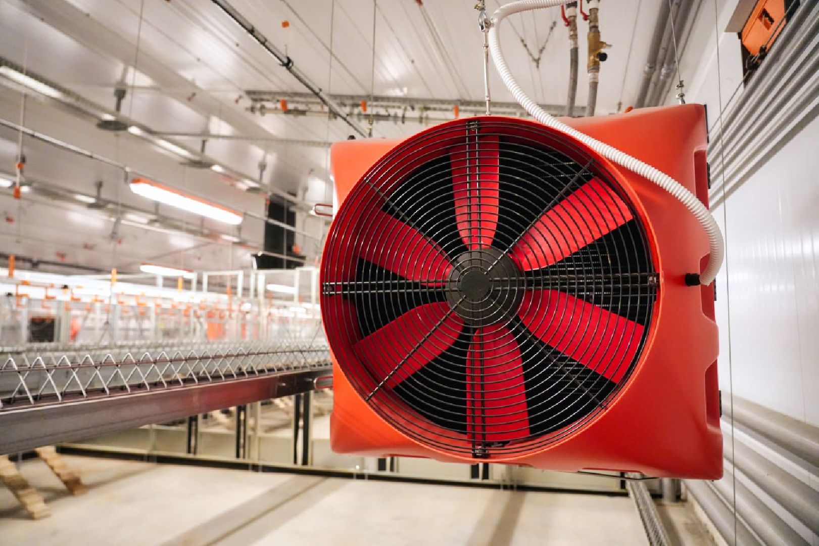 Сергиево-Посадский городской округ, Федеральный проект, Смена, Птицеводство, Птичники, Племенная птица, Смена-9, ВНИИТИП, ВНИТИП, Сельское хозяйство,