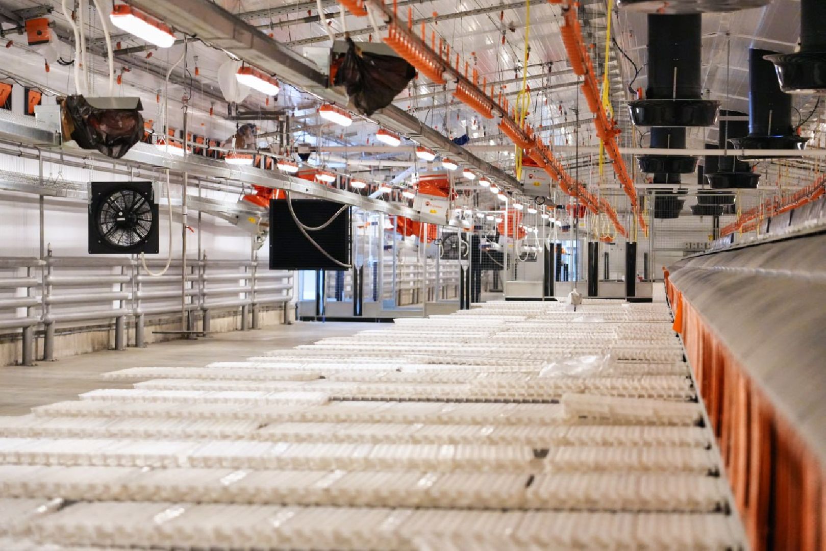 Сергиево-Посадский городской округ, Федеральный проект, Смена, Птицеводство, Птичники, Племенная птица, Смена-9, ВНИИТИП, ВНИТИП, Сельское хозяйство,