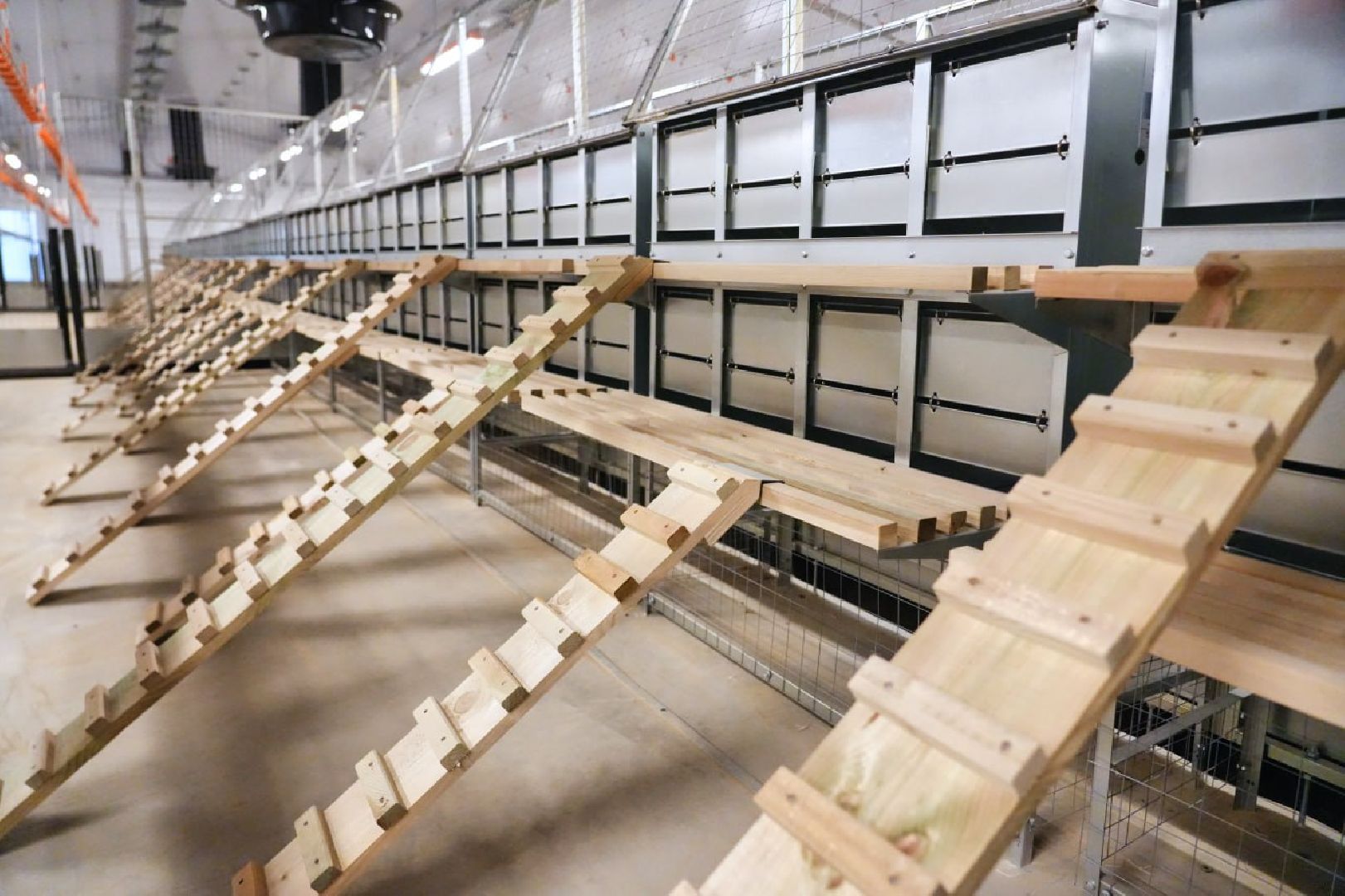 Сергиево-Посадский городской округ, Федеральный проект, Смена, Птицеводство, Птичники, Племенная птица, Смена-9, ВНИИТИП, ВНИТИП, Сельское хозяйство,